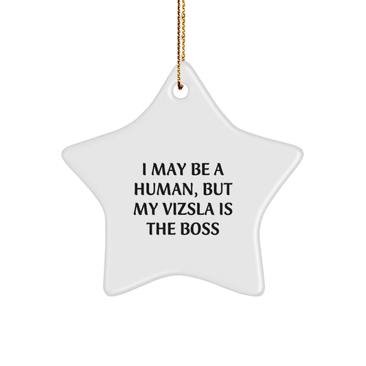 Funny Vizsla Dog Gifts for Women, Star Ornament by I May Be A Human, But My Vizsla Is The Boss, Christmas Unique Gifts from Men - Image 1