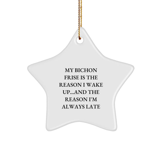 Bichon Frise Dog Lover Christmas Star Ornament Funny Gift for Men Women Friends Family - Image 1