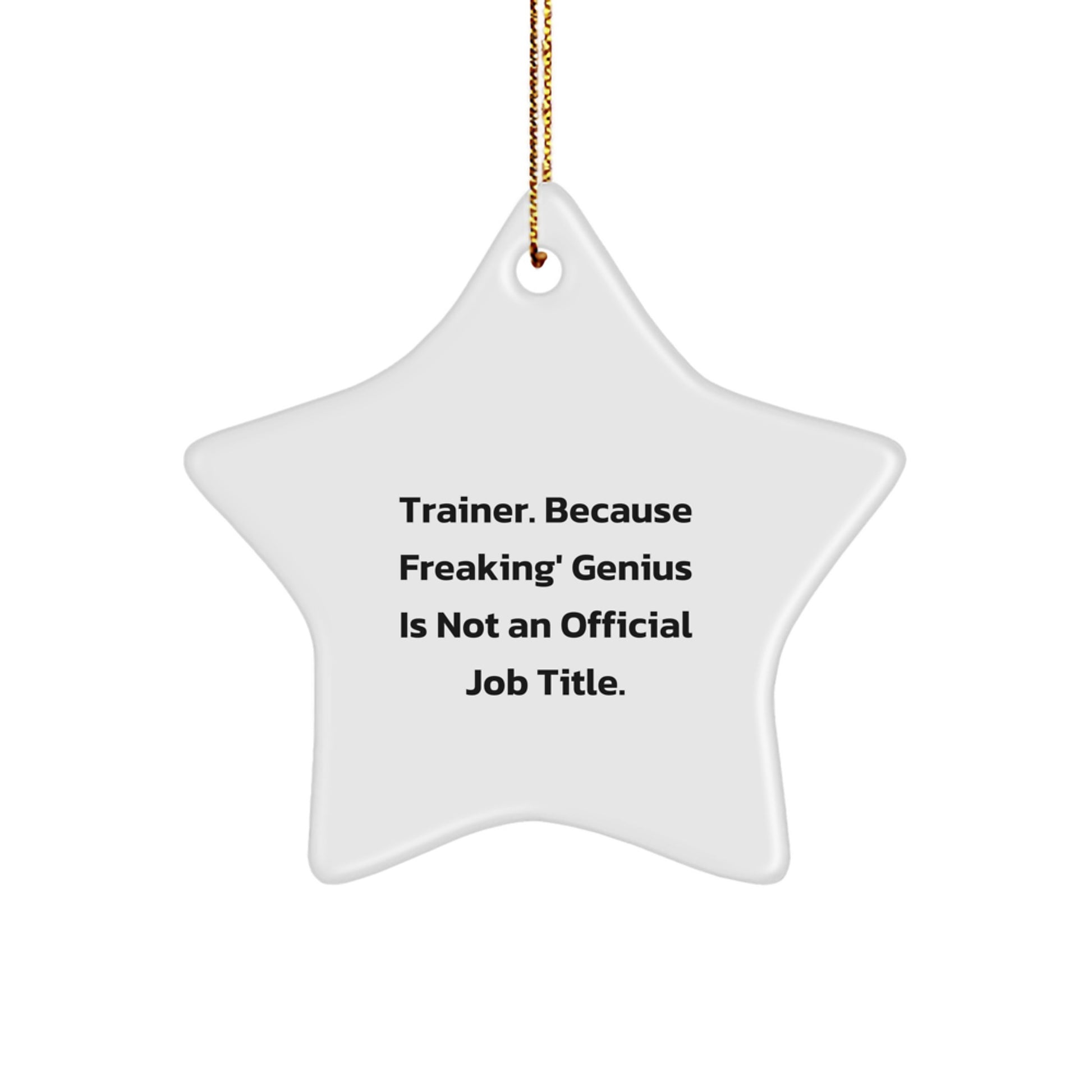 Funny Trainer Star Ornament Gifts from Men to Friends, Inspirational Star Shaped Trainer Decor for Christmas Unique Gifts for Trainer - Image 1