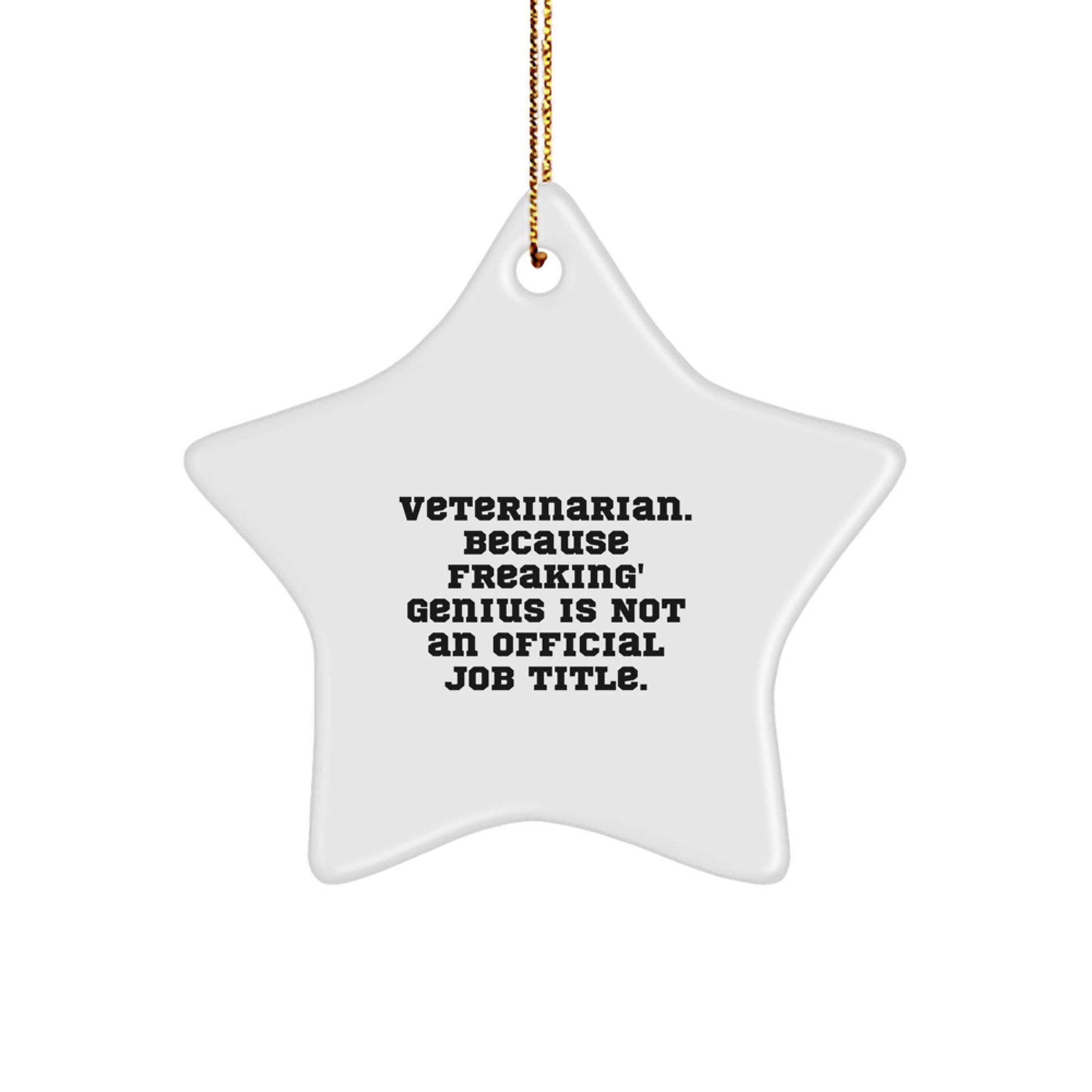 Funny Star Ornament Gifts from Men to Women Veterinarian Friends and Family for Christmas Unique Presents - Image 1