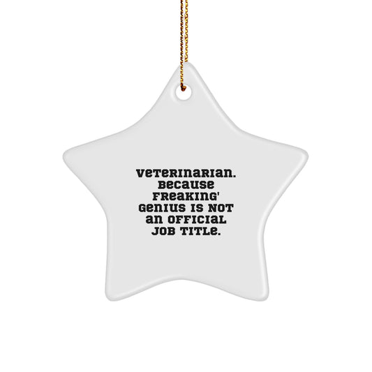 Funny Star Ornament Gifts from Men to Women Veterinarian Friends and Family for Christmas Unique Presents - Image 1