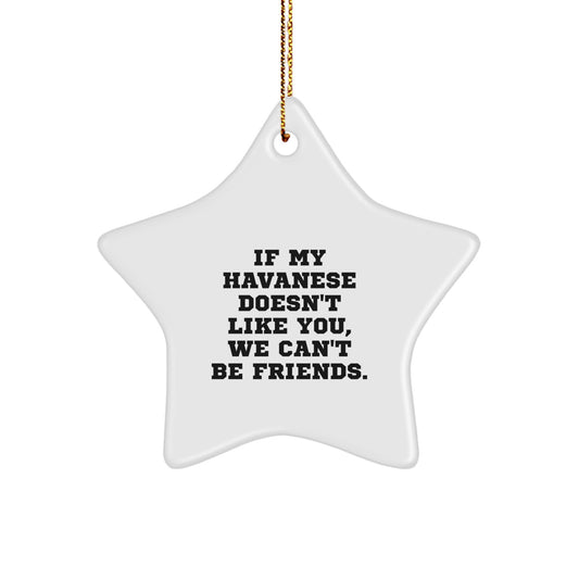 Funny Havanese Dog Star Ornament Gifts from Friends for Christmas with 'If My Havanese Doesn't Like You, We Can't Be Friends.' Quote - Image 1