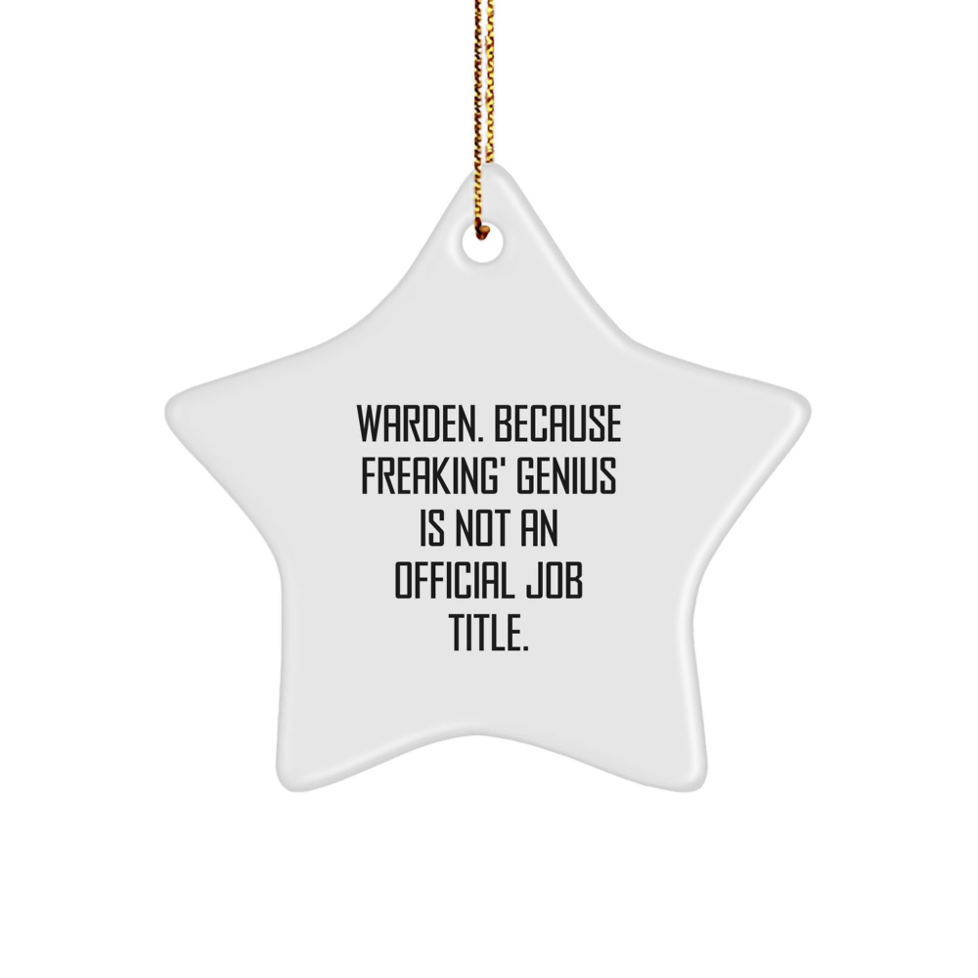 Warden Star Ornament Funny Quote Gifts from Men to Warden Friends on Christmas Unique Star Shaped Decorations - Image 1