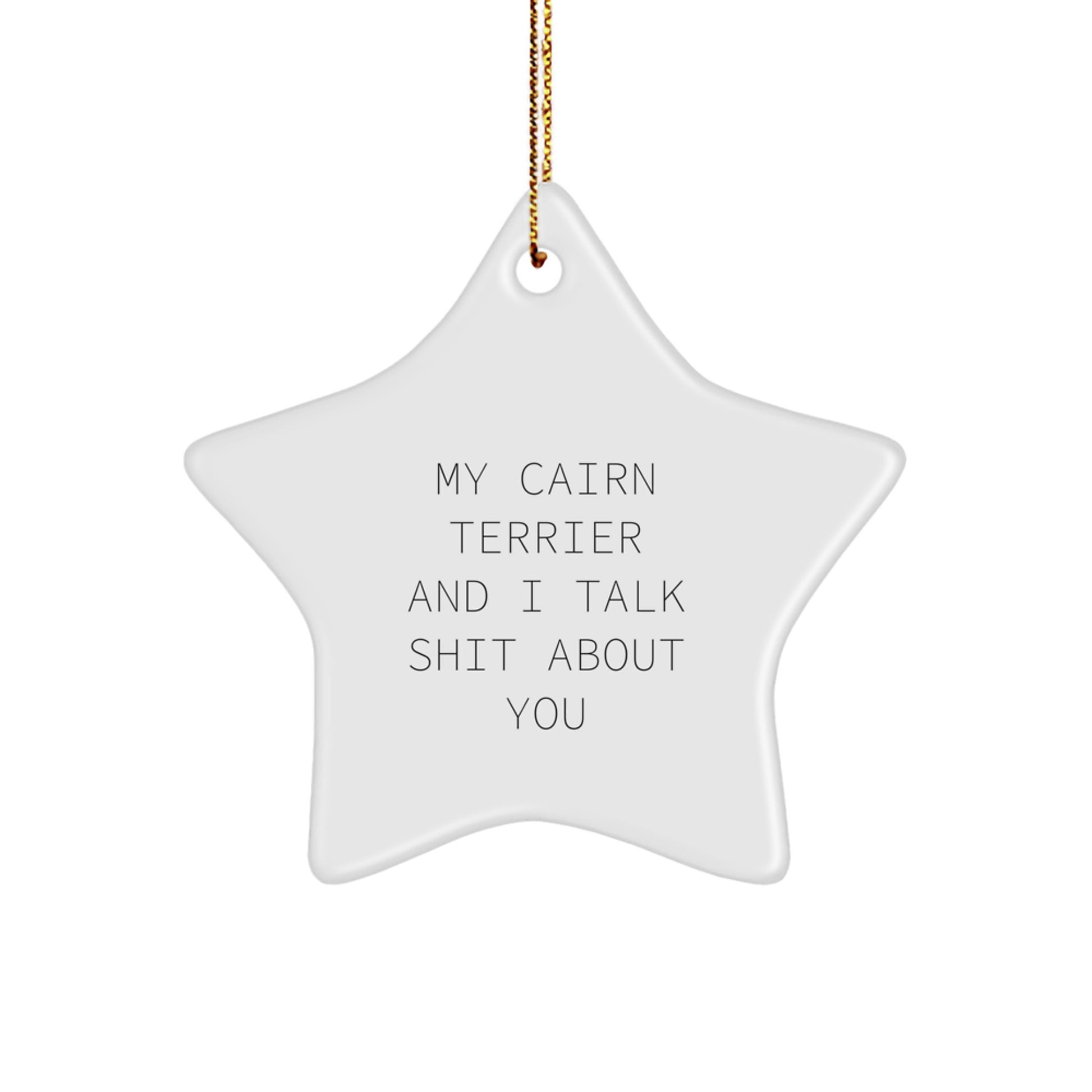 Funny Cairn Terrier Dog Gifts for Men from Friends - My Cairn Terrier And I Talk Shit About You Star Ornament - Christmas Unique Gifts for Cairn Terrier Dog Owners - Image 1