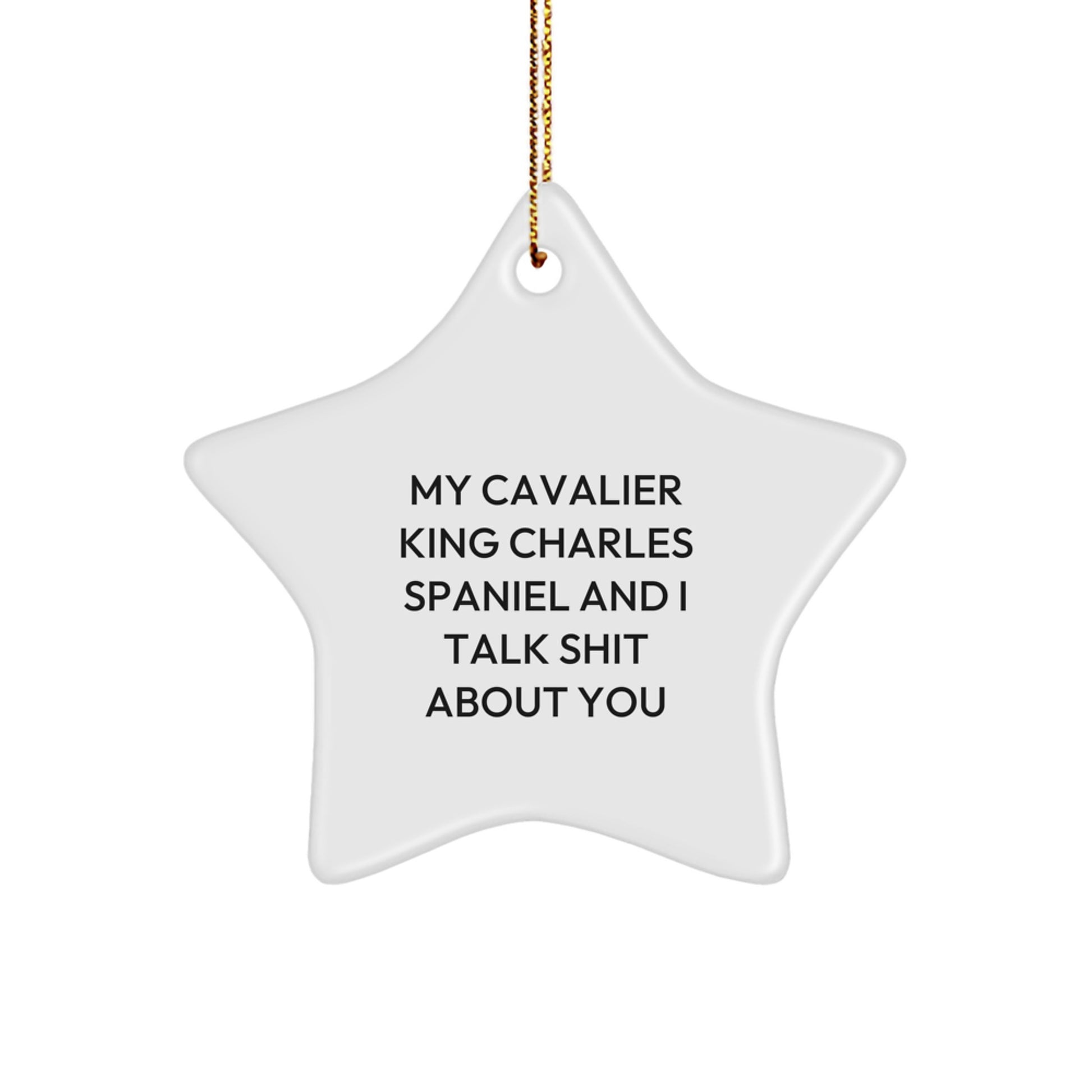 Funny Cavalier King Charles Spaniel Dog Star Ornament, Gifts from Friends to Family, Christmas Unique Decorations, My Cavalier King Charles Spaniel And I Talk Shit About You Quote - Image 1
