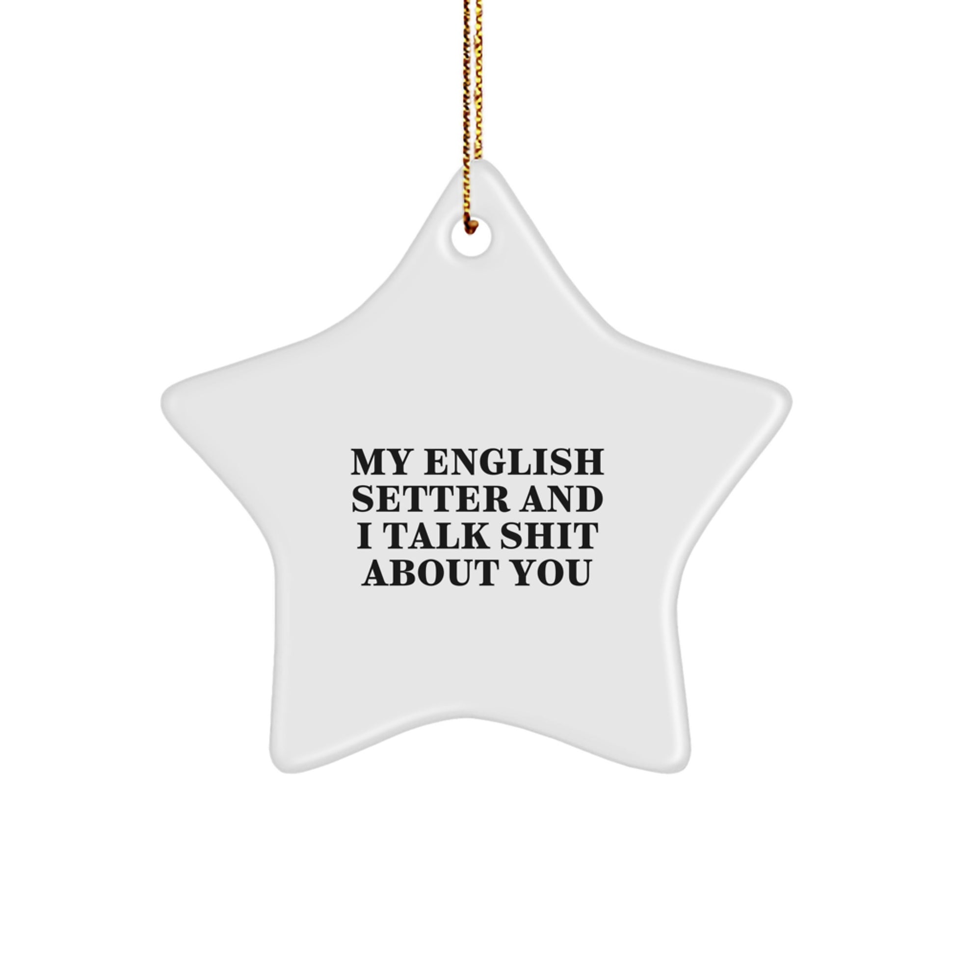 Funny English Setter Dog Star Ornament Gifts from Men to Family for Christmas - 'My English Setter And I Talk Shit About You' Star Decor - Image 1