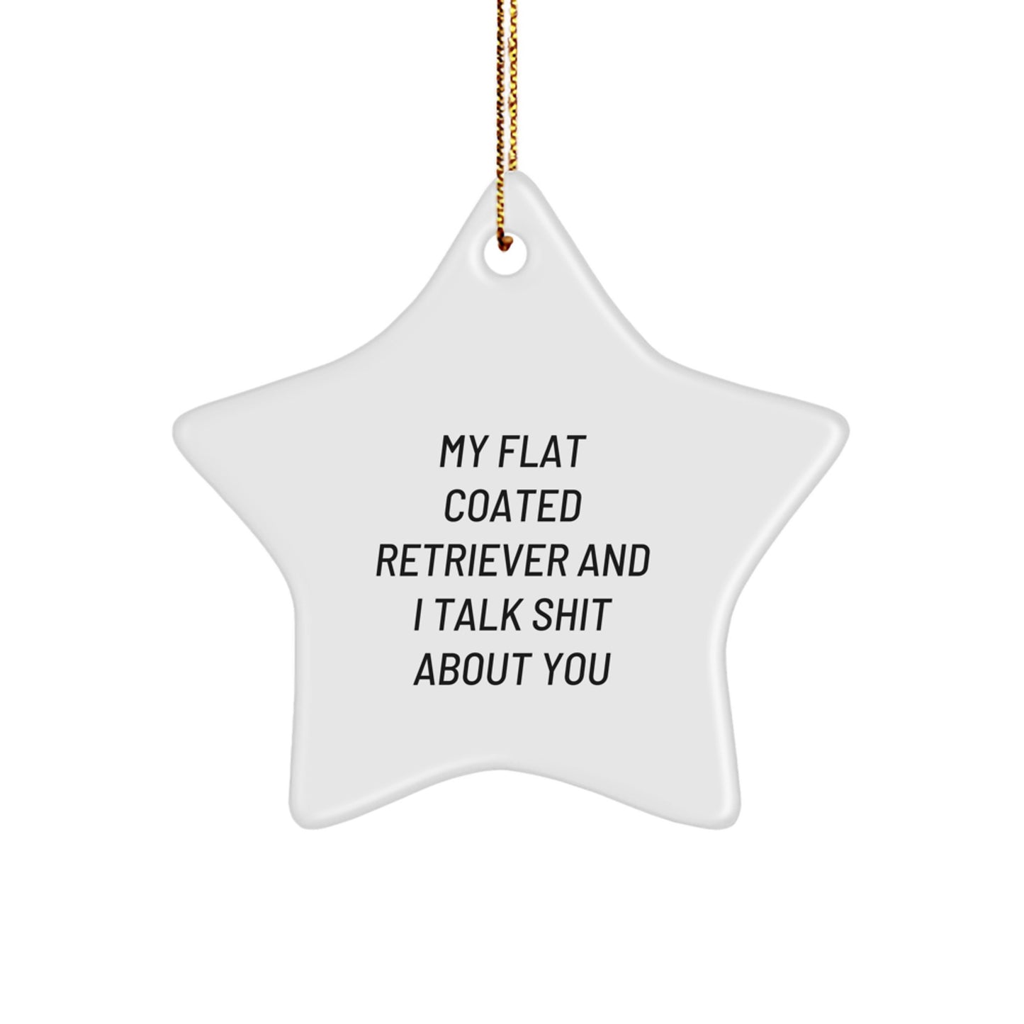 Funny Flat Coated Retriever Dog Gifts from Friends, Star Ornament for Christmas Unique Presents, My Flat Coated Retriever And I Talk Shit About You Humor, Gifts for Flat Coated Retriever Dog Lovers - Image 1