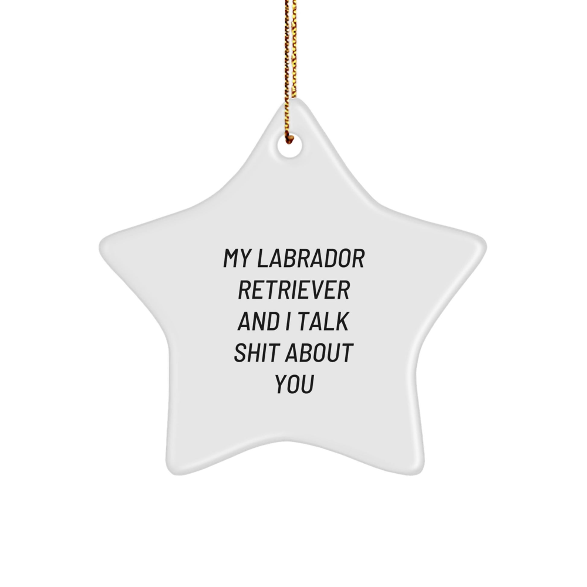 Labrador Retriever Dog Funny Christmas Unique Gifts from Friends for Labrador Retriever Dog Owners, Star Ornament, My Labrador Retriever And I Talk Shit About You - Image 1