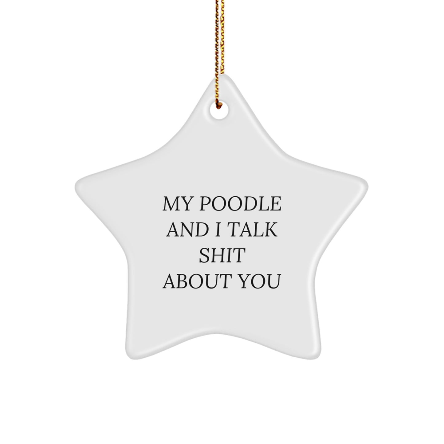 Funny Poodle Dog Lover Gifts from Family for Christmas Unique Star Ornament, My Poodle And I Talk Shit About You Present - Image 1