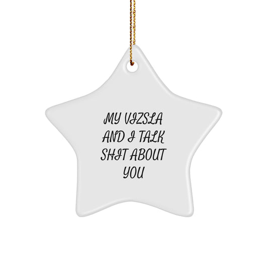 Funny Vizsla Dog Christmas Unique Gifts from Friends for Vizsla Dog Owners - Star Ornament with My Vizsla And I Talk Shit About You Quote - Gifts for Men Women Family - Image 1