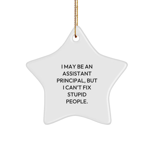 Funny Assistant Principal Gifts, Christmas Unique Star Ornaments for Assistant Principals, 'I May Be An Assistant Principal, But I Can't Fix Stupid People.' - Image 1