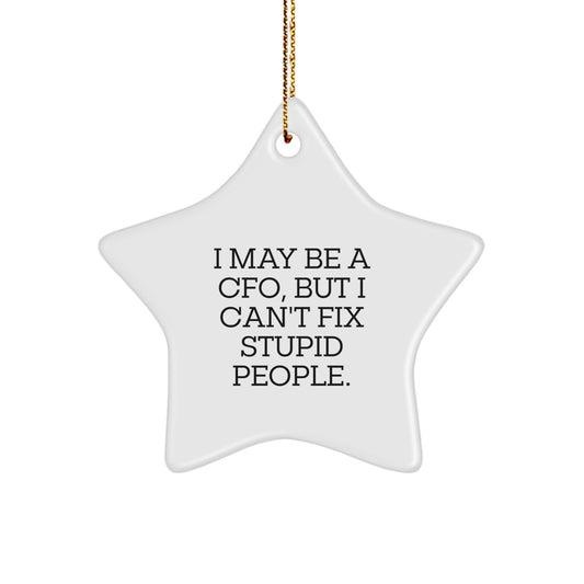 Funny CFO Christmas Unique Gifts from Men to Friends or Family - 'I May Be A Cfo, But I Can't Fix Stupid People' Star Ornament - Image 1