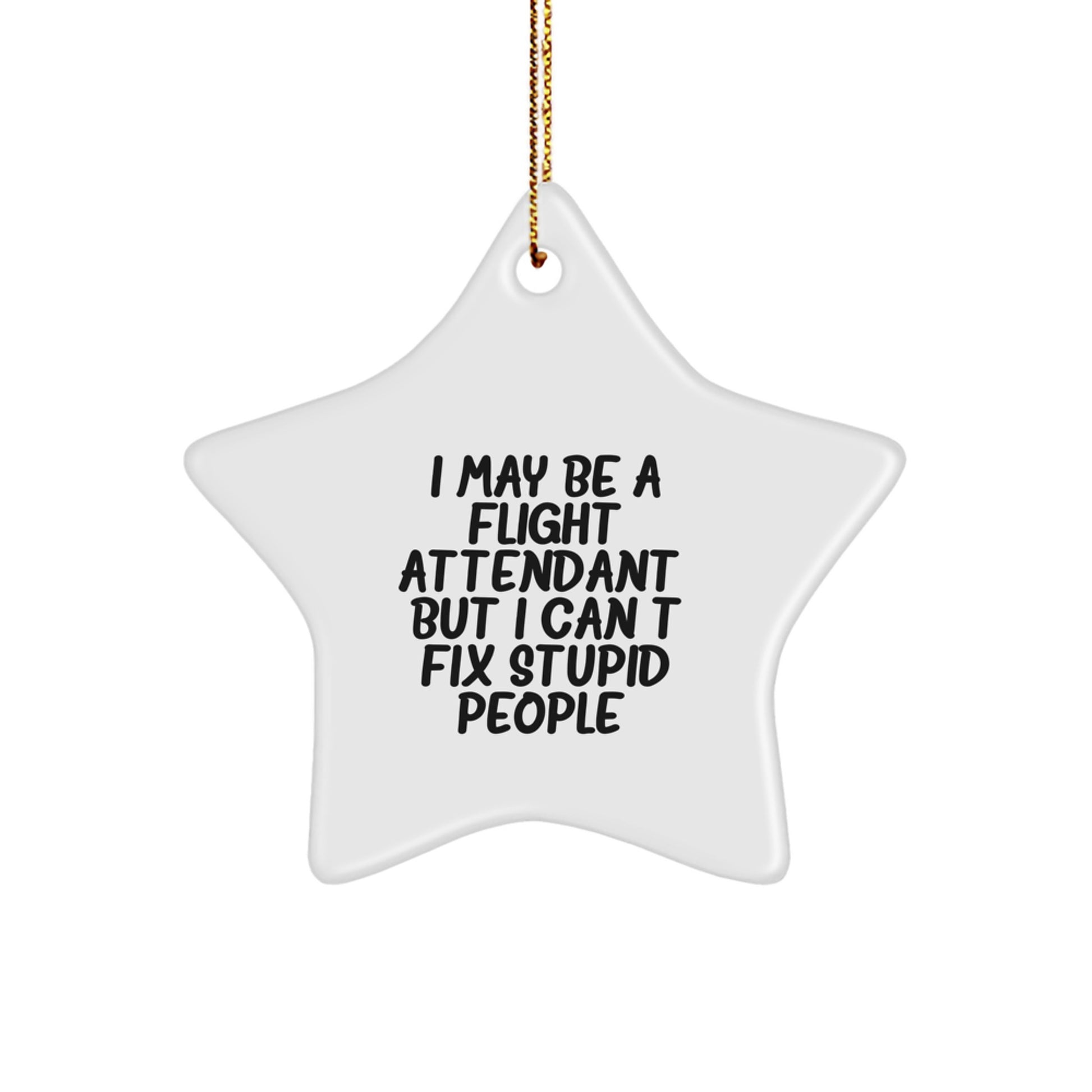 Flight Attendant Humor Gifts for Men, Funny Star Ornament with Inspirational Quote, Gifts from Friends, Christmas Unique Gifts for Flight Attendants - Image 1