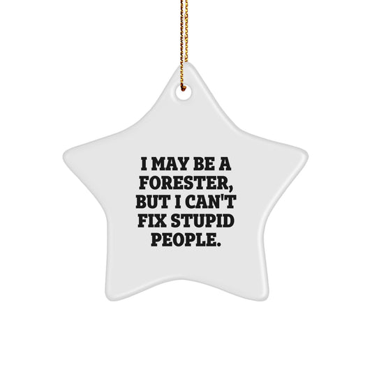 Funny Forester Gifts from Men to Foresters - Star Ornament, 'I May Be A Forester, But I Can't Fix Stupid People.' - Christmas Unique Gifts for Forester, Forester Star Ornament, Forester Decor - Image 1