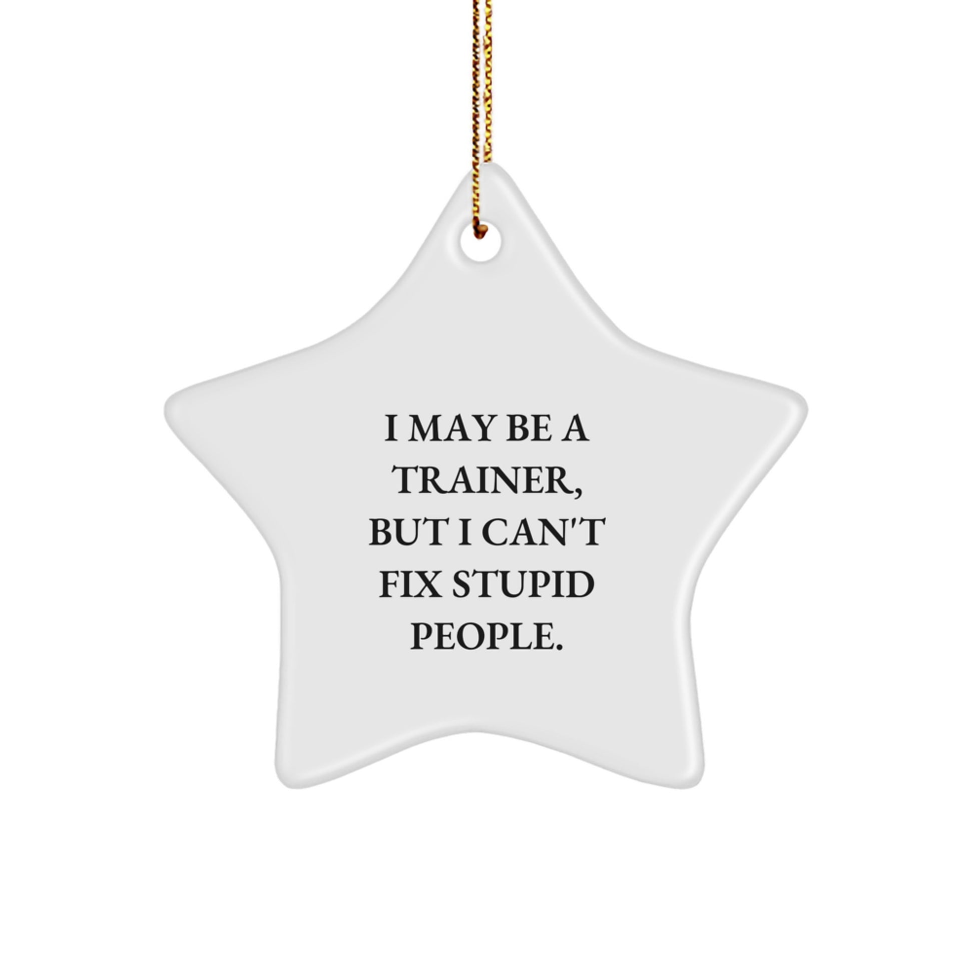 Funny Trainer Gifts from Friends, Inspirational Star Ornament for Men, Women, and Coworkers - I May Be A Trainer, But I Can't Fix Stupid People. - Image 1