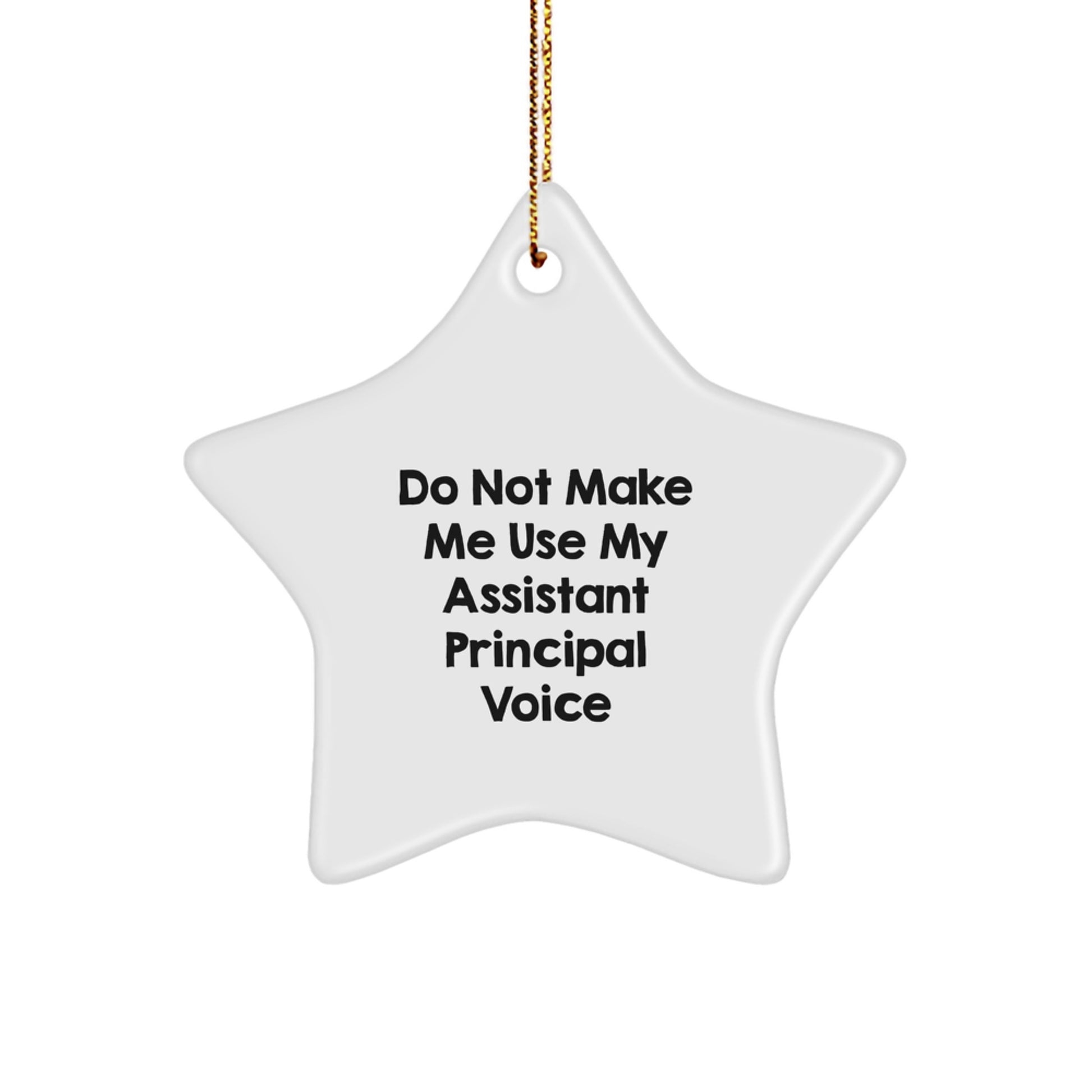 Funny Assistant Principal Star Ornament Gifts from Friends for Christmas Unique Gifts - Image 1
