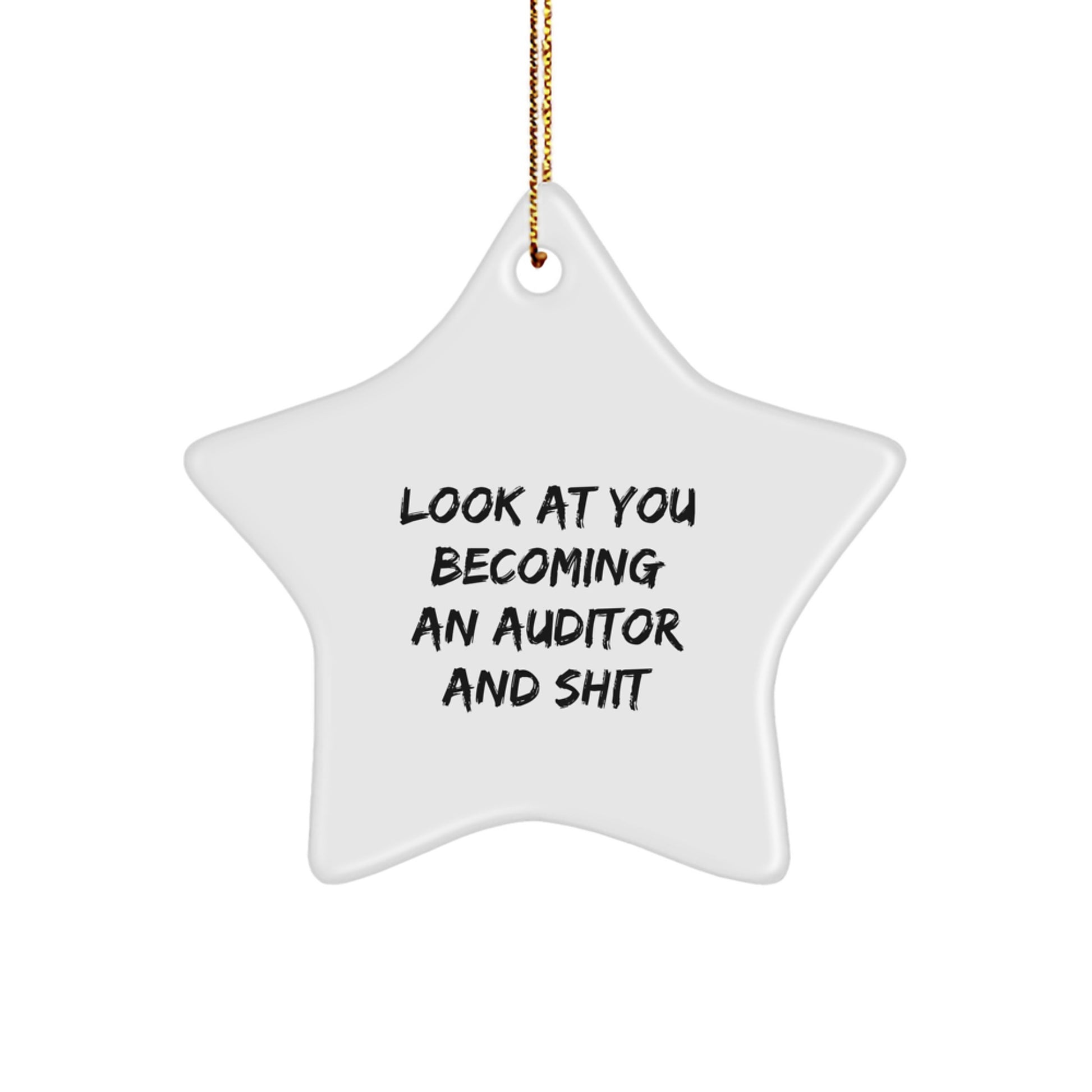 Funny Auditor Gifts, Unique Christmas Star Ornament Look At You Becoming An Auditor And Shit, Gifts from Friends to Auditors - Image 1
