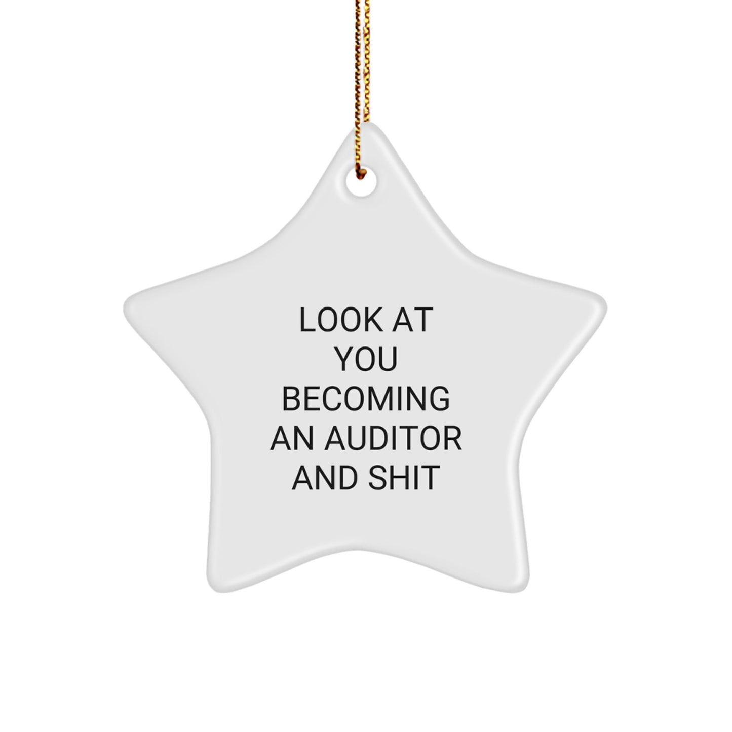 Funny Auditor Star Ornament Gifts from Family to Friends, Christmas Unique Gifts for Auditor, Look At You Becoming An Auditor Star Shaped Decor - Image 1