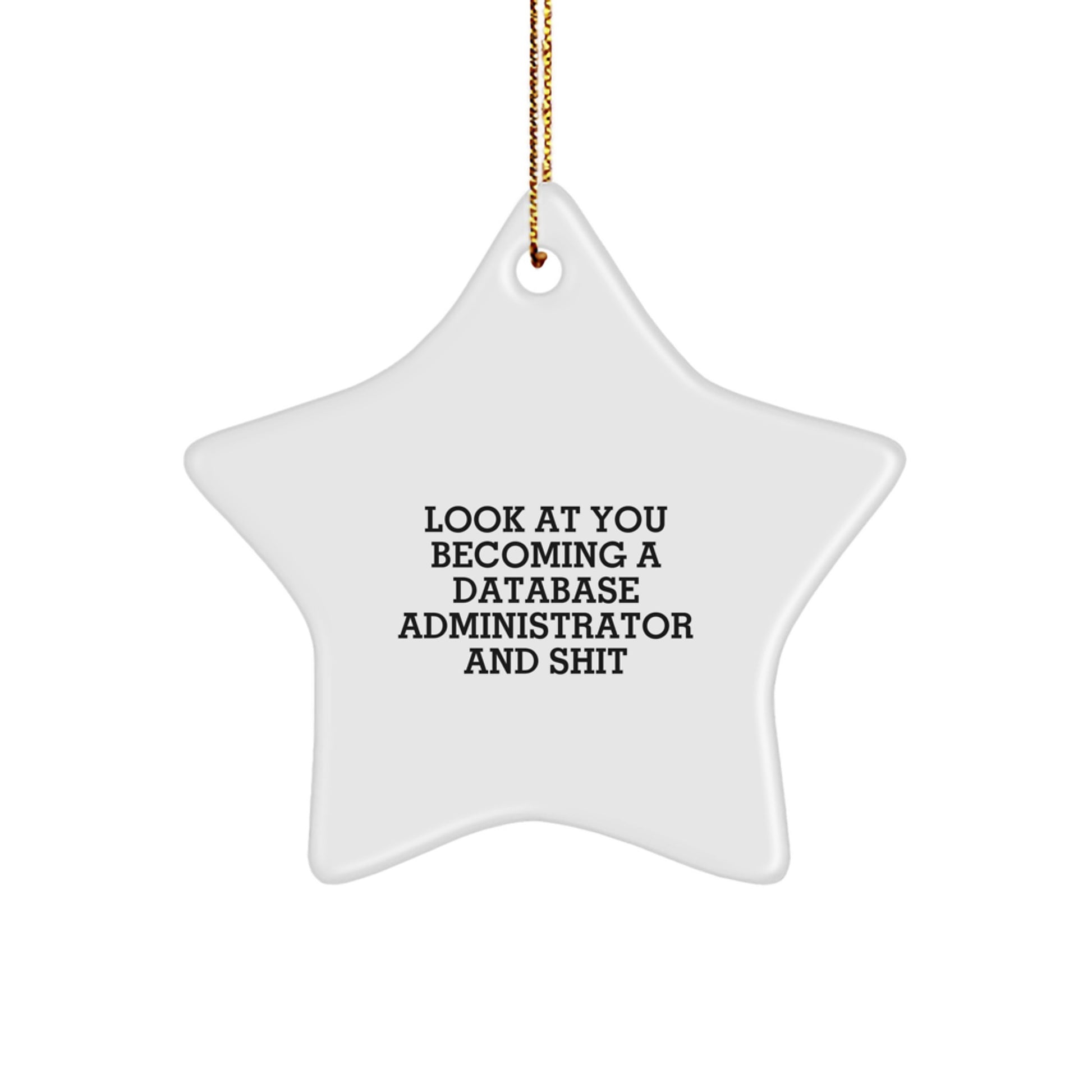 Funny Database Administrator Star Ornament, Gifts for Database Administrators, Christmas Unique Decorations, Star Shaped Gifts from Friends and Family - Image 1
