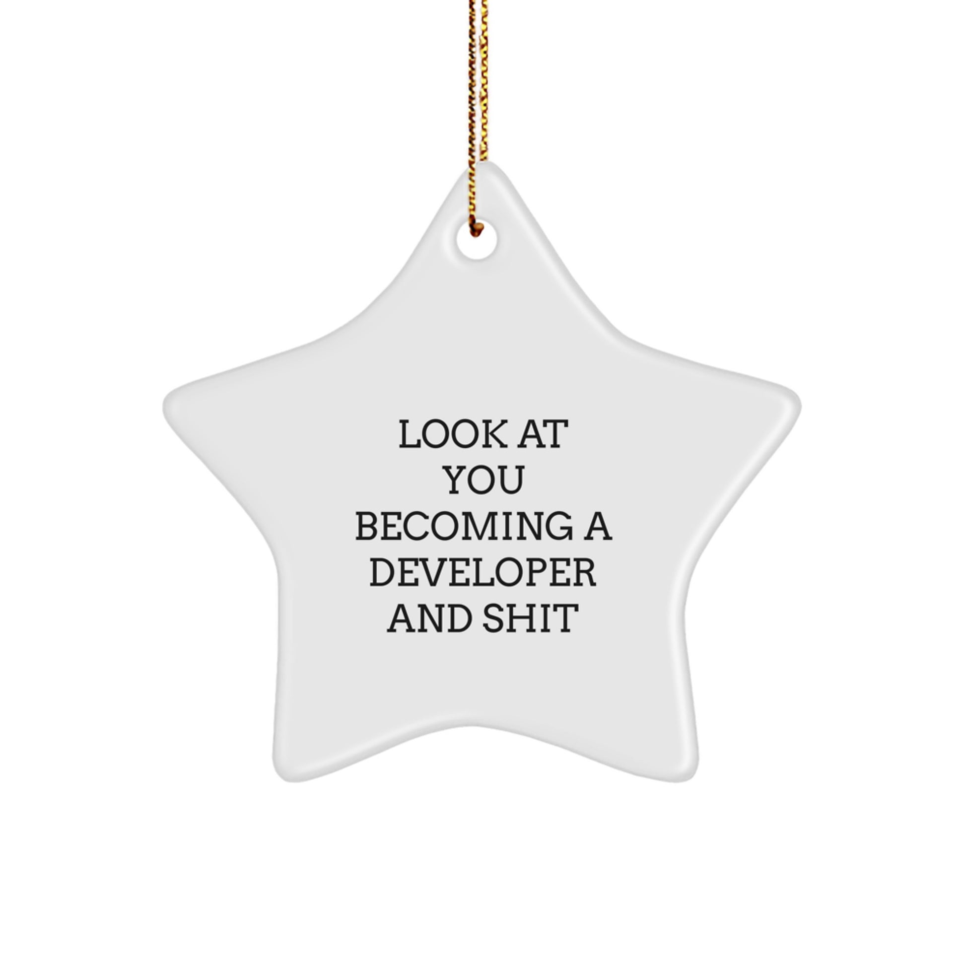 Developer Gifts from Friends, Funny Star Ornament for Him or Her, 'Look At You Becoming A Developer And Shit' Christmas Unique Gifts - Image 1