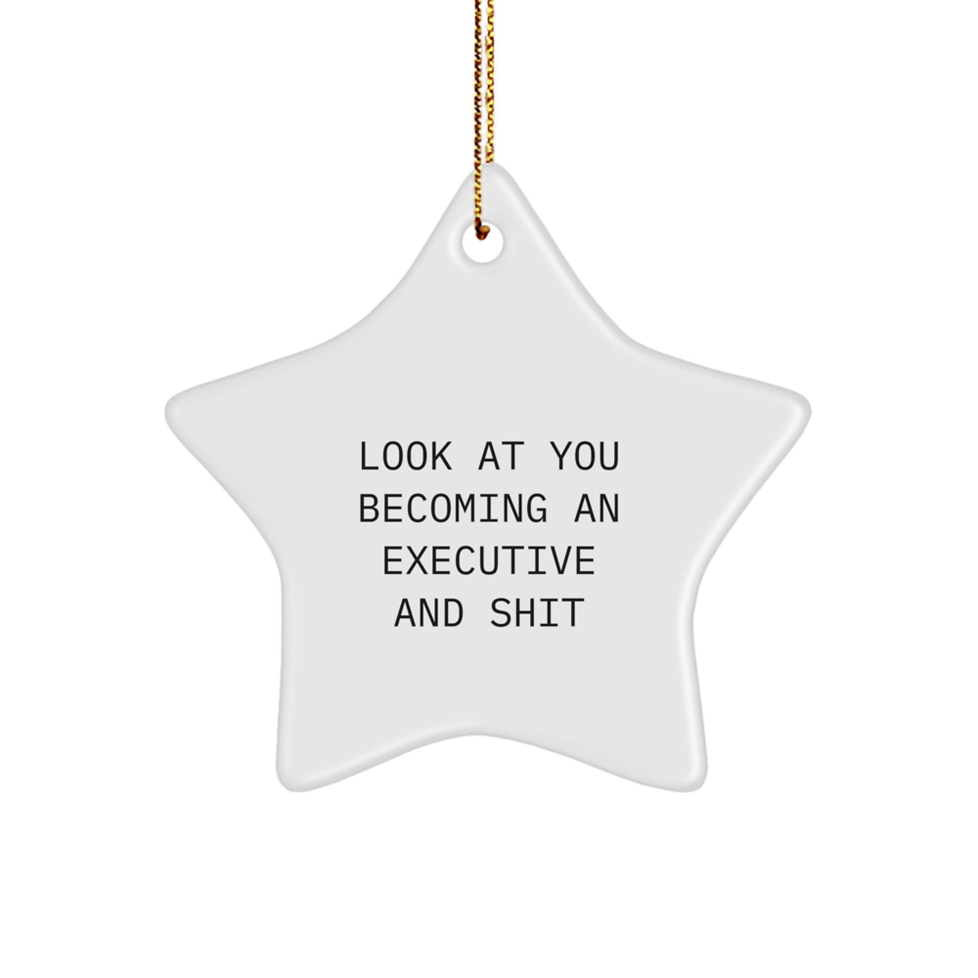 Funny Executive Star Ornament, Gifts from Friends, Christmas Unique Gifts for Executive, Star Shaped Decorations - Image 1