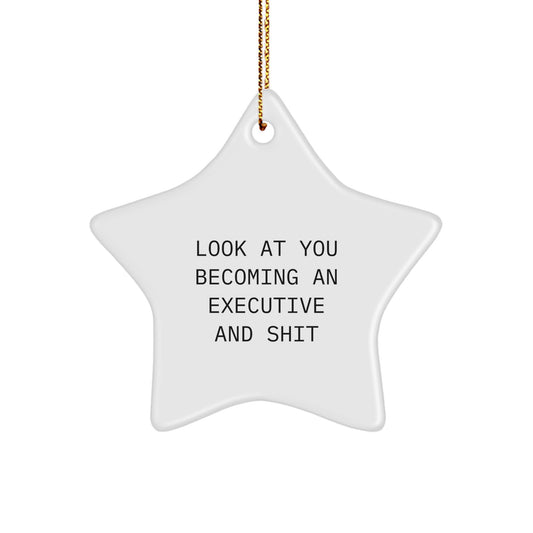 Funny Executive Star Ornament, Gifts from Friends, Christmas Unique Gifts for Executive, Star Shaped Decorations - Image 1