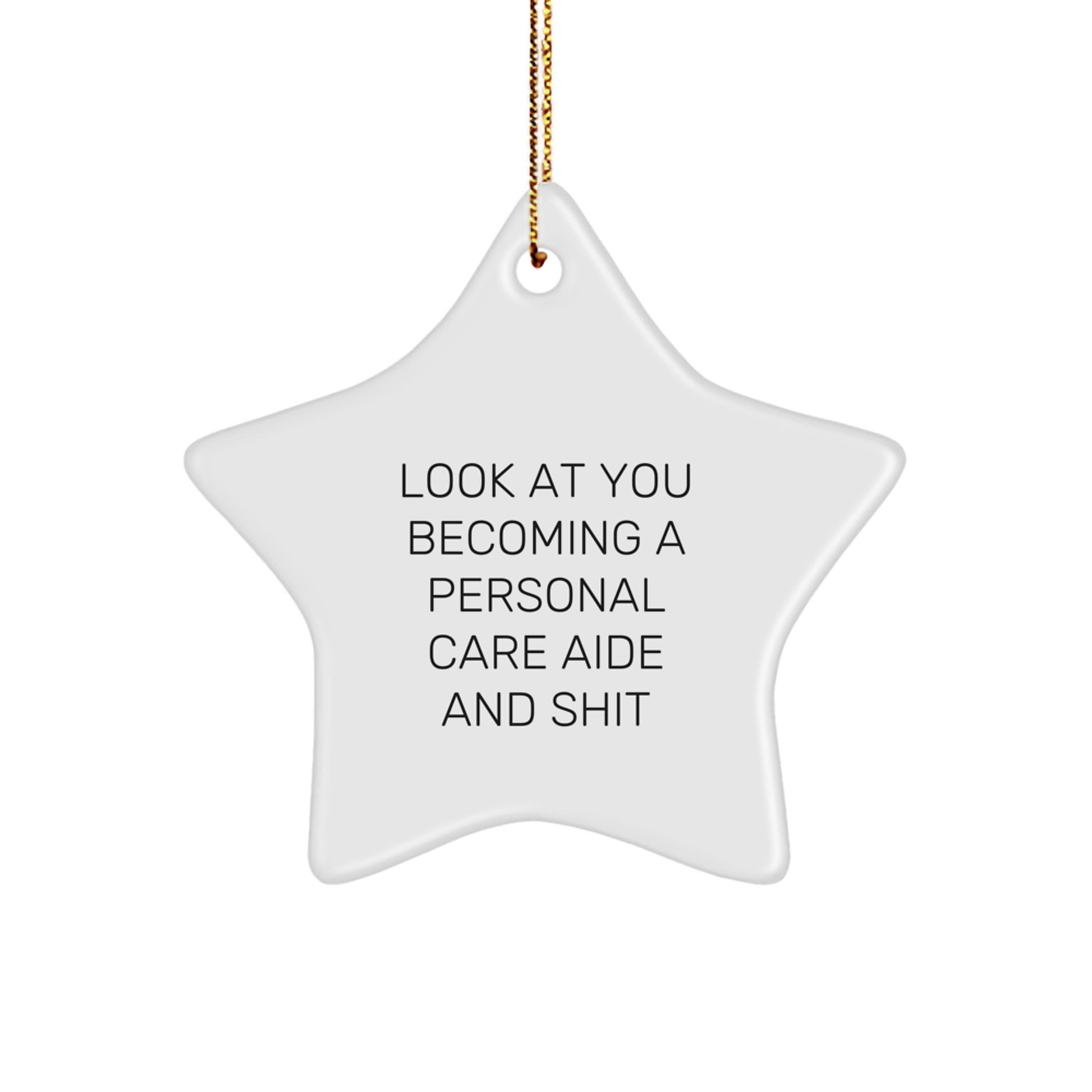 Funny Personal Care Aide Star Ornament Gifts from Family and Friends for Personal Care Aide Christmas Unique Gifts - Image 1