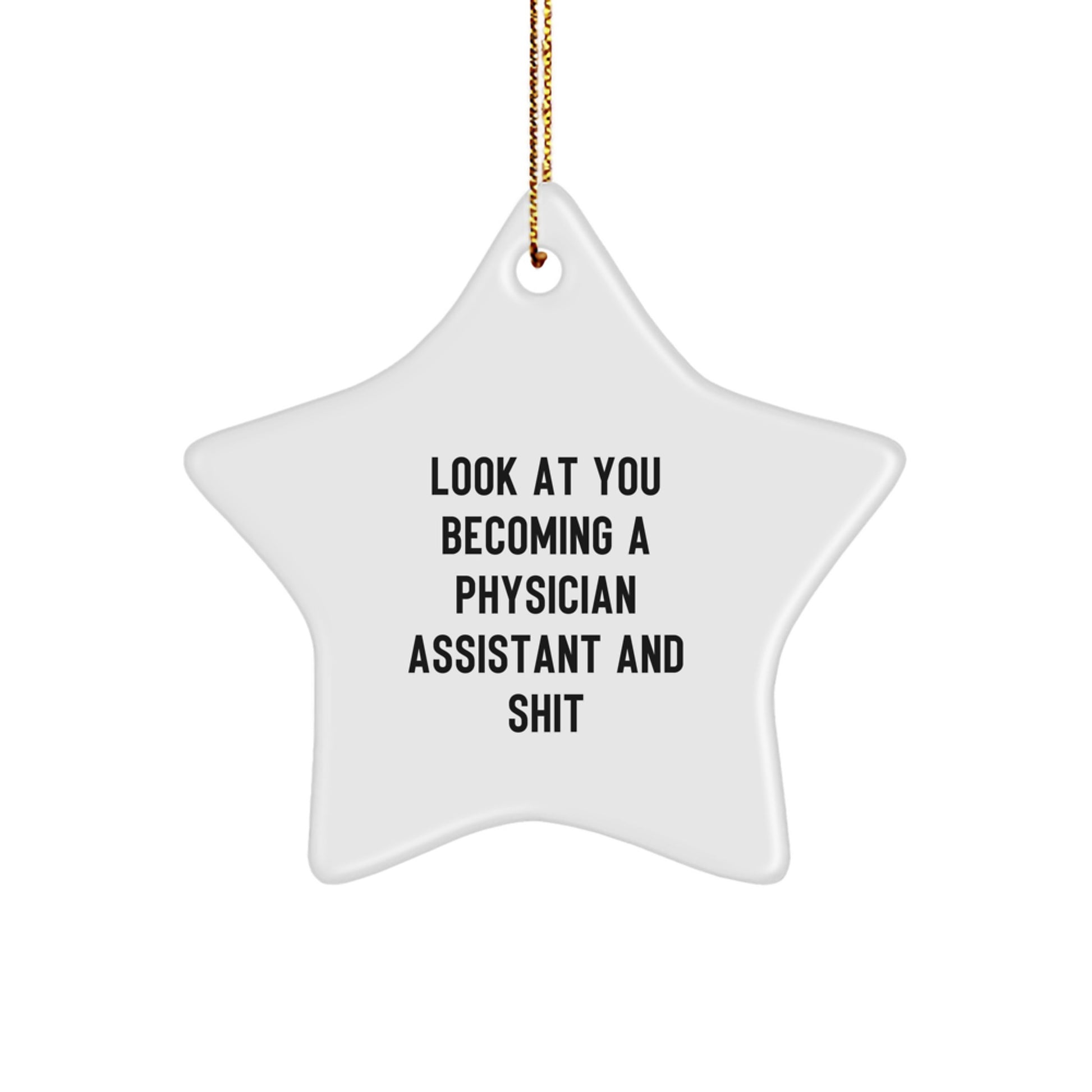 Gifts from Family or Friends for Physician Assistant Star Ornament, 'Look At You Becoming A Physician Assistant And Shit', Funny Christmas Decorations - Image 1