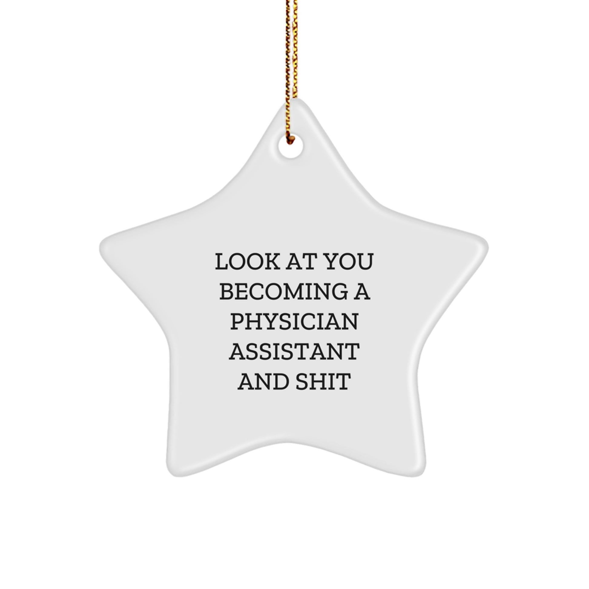 Funny Physician Assistant Star Ornament, Gifts from Men to Women, Coworkers, Family - 'Look At You Becoming A Physician Assistant And Shit' - Christmas Unique Gifts for Physician Assistant - Image 1