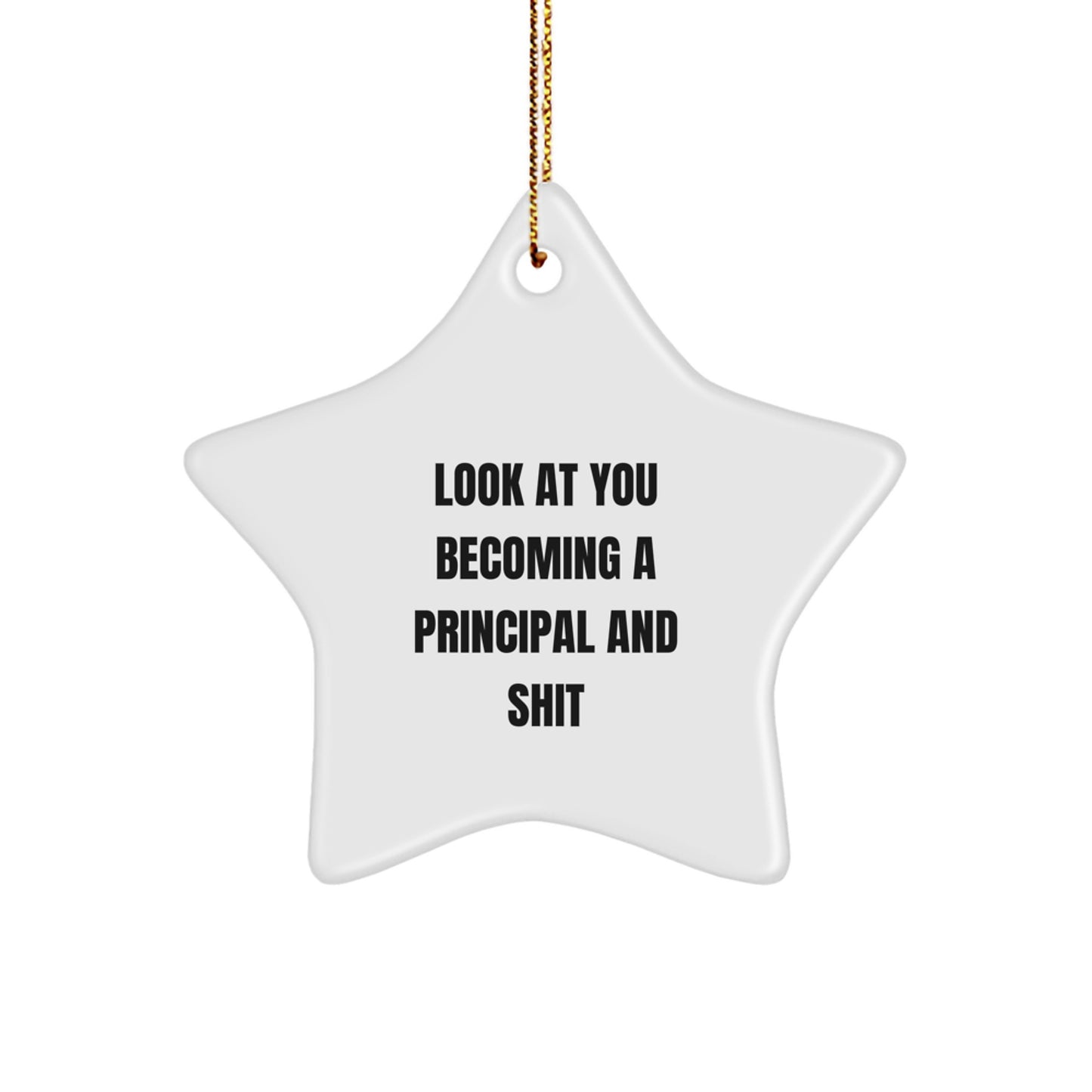 Gifts from Friends and Family - Funny Principal Star Ornament for 'Look At You Becoming A Principal And Shit' - Christmas Unique Gifts for Principal - Image 1