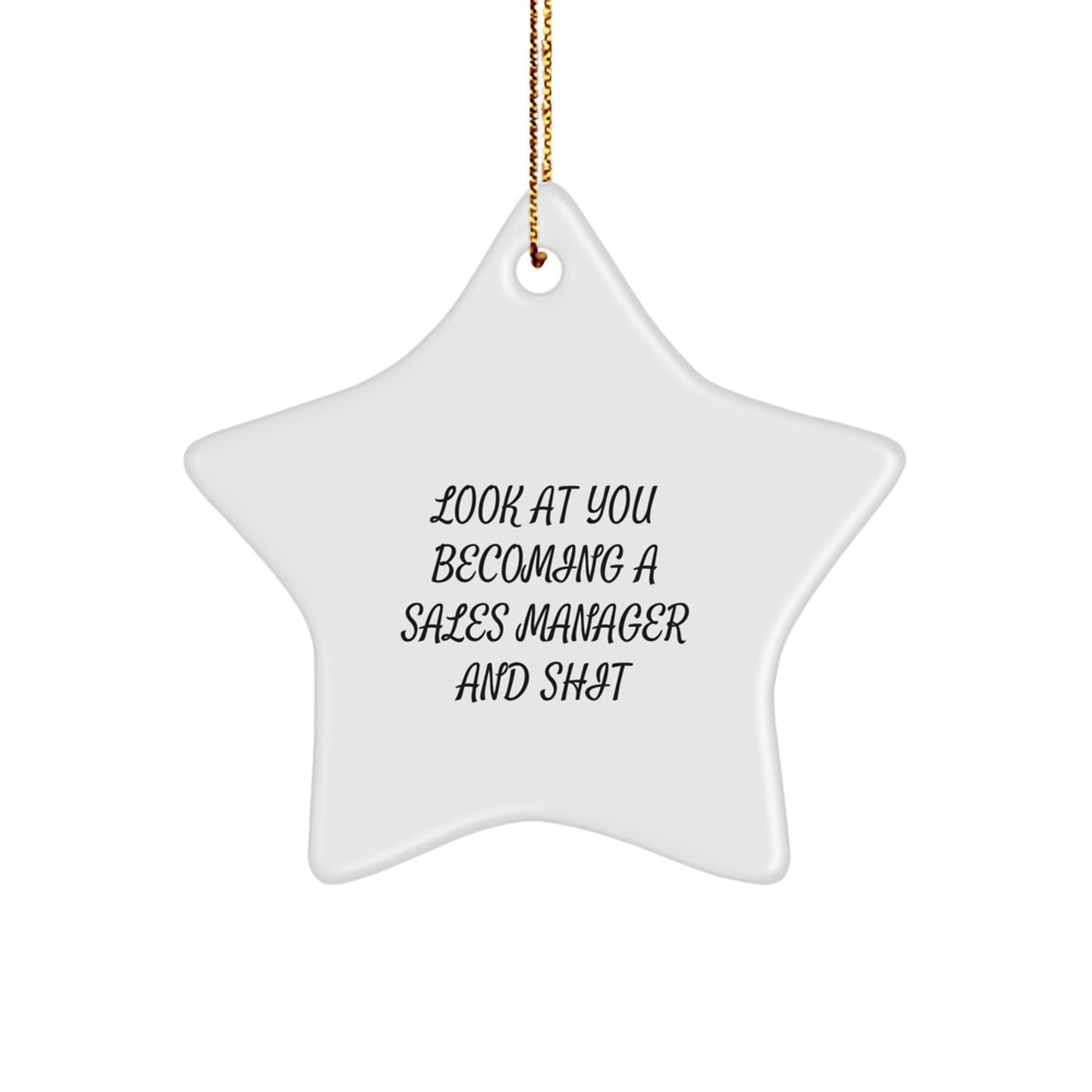 Funny Sales Manager Star Ornament Gifts from Friends, Perfect for Christmas Unique Gifts, Gifts for Sales Manager Men - Image 1
