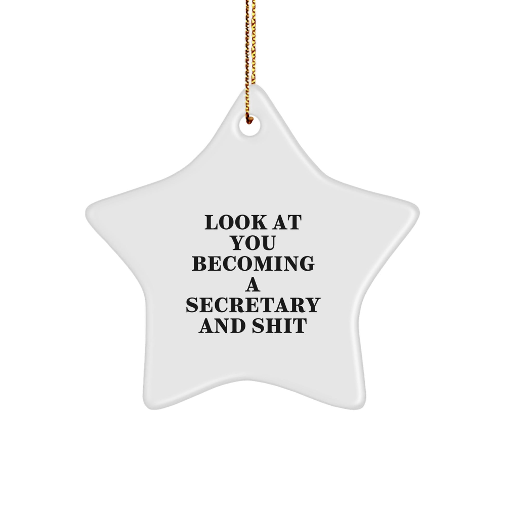 Funny Secretary Gifts for Her - Look At You Becoming A Secretary And Shit Star Ornament, Christmas Unique Secretary Decorations, White Star Shaped Secretary Gift - Image 1