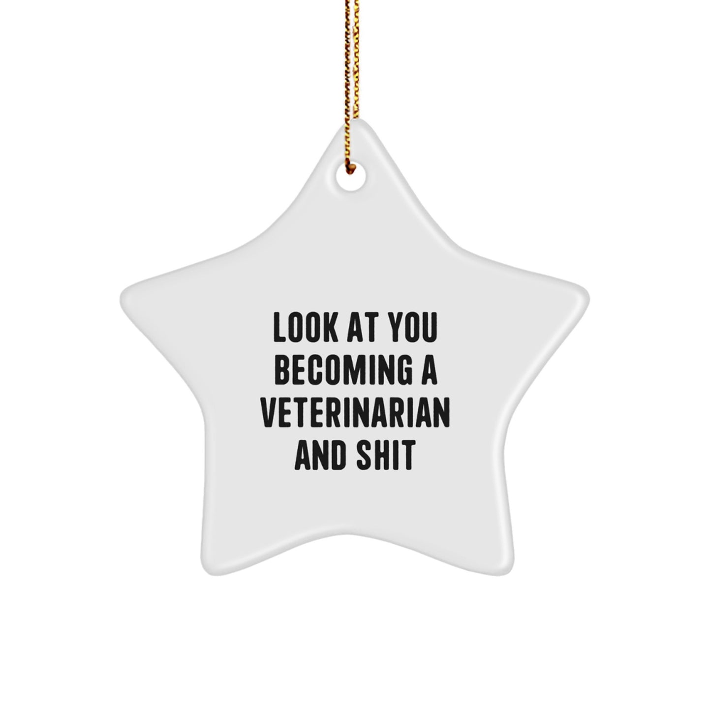 Veterinarian Star Ornament, Funny Quote Gifts from Family to Friends, Unique Christmas Decorations for Vet Lovers, Star Shaped Ornament with Gold Cord - Image 1
