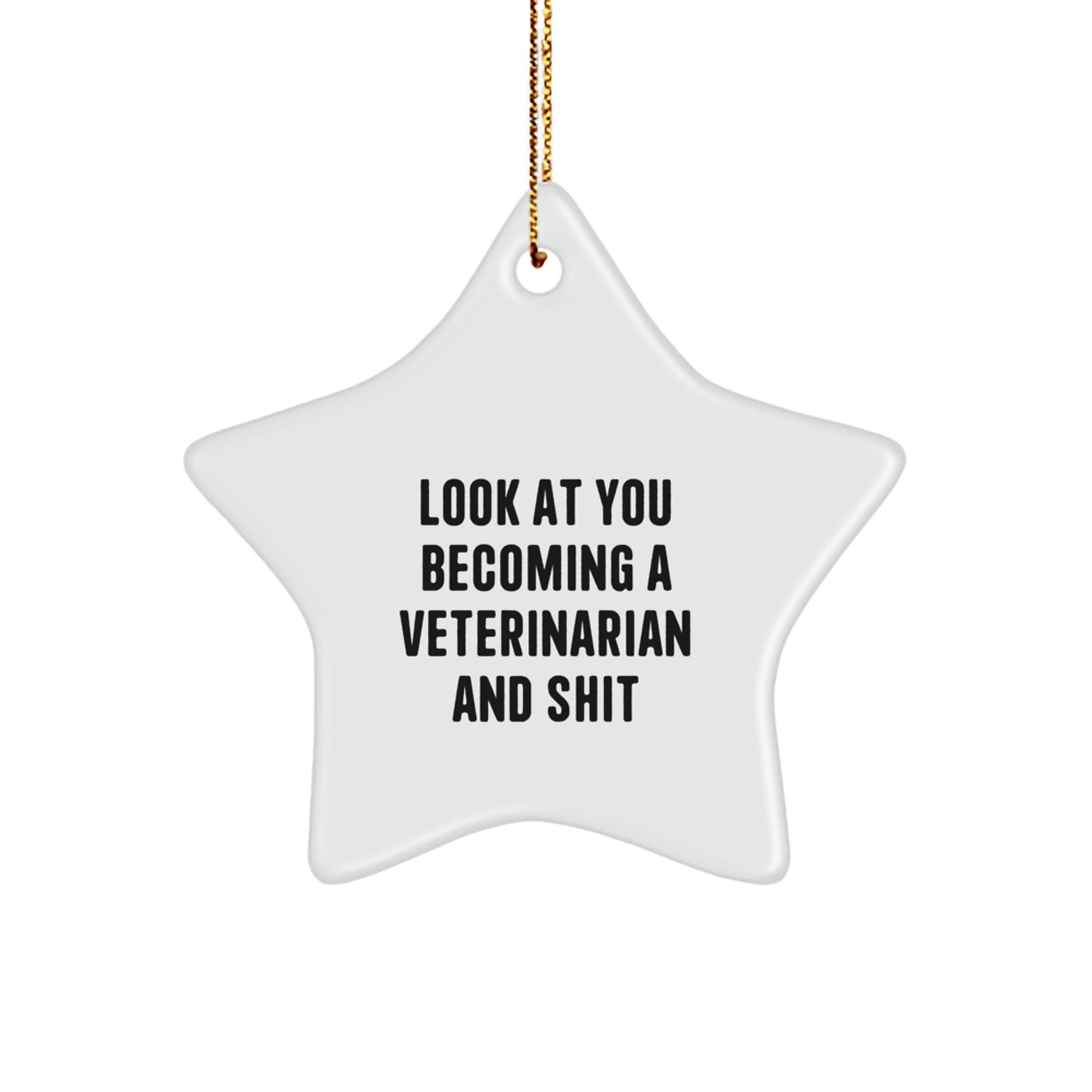 Veterinarian Star Ornament, Funny Quote Gifts from Family to Friends, Unique Christmas Decorations for Vet Lovers, Star Shaped Ornament with Gold Cord - Image 1