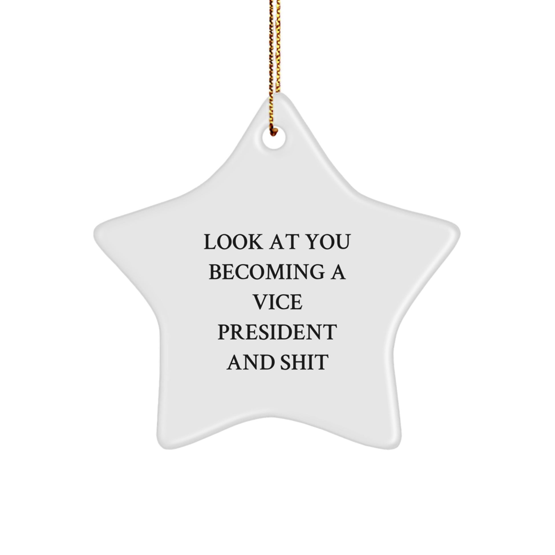 Funny Vice President Gifts for Men - Star Ornament with 'Look At You Becoming A Vice President And Shit' Quote, Christmas Unique Gift from Friends to Vice President - Image 1