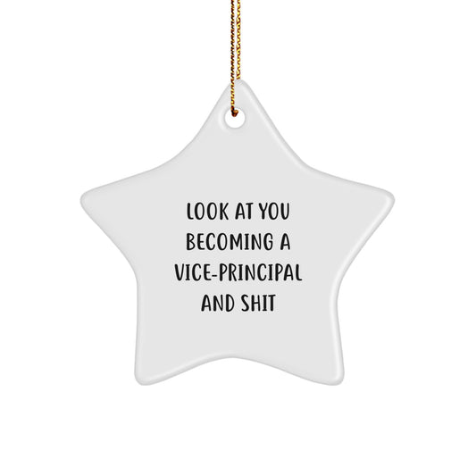 Funny Vice-principal Gifts, Christmas Unique Star Ornament for Men, Friends, Family from Coworkers, Inspirational Vice-principal Quotes Star Shaped Decoration - Image 1