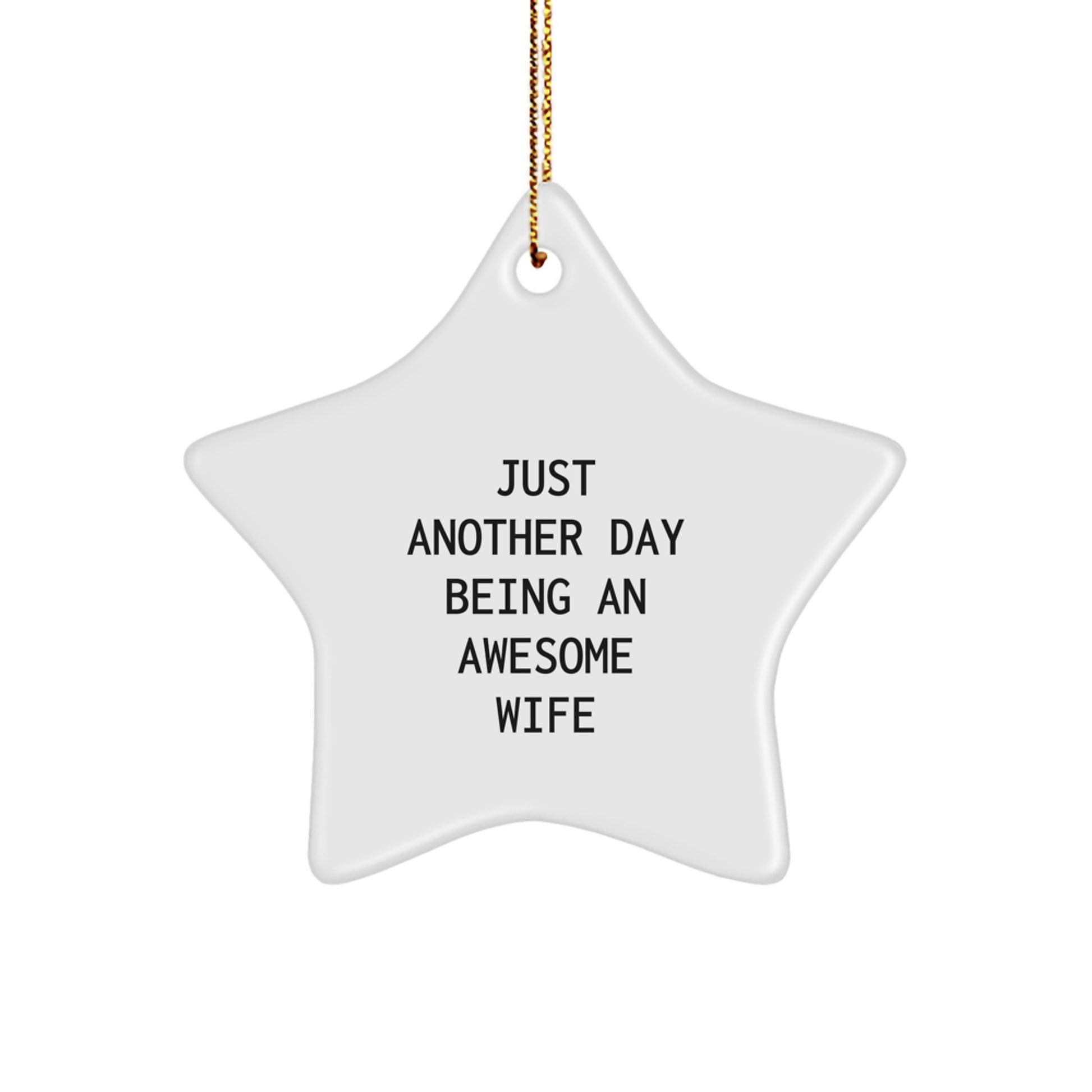 Funny Wife Gifts from Husband, Star Ornament Just Another Day Being An Awesome Wife, Perfect Christmas Unique Decorations - Image 1