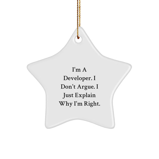 Christmas Gift Developer Christmas Ornament - I Don't Argue, I Explain - Image 1