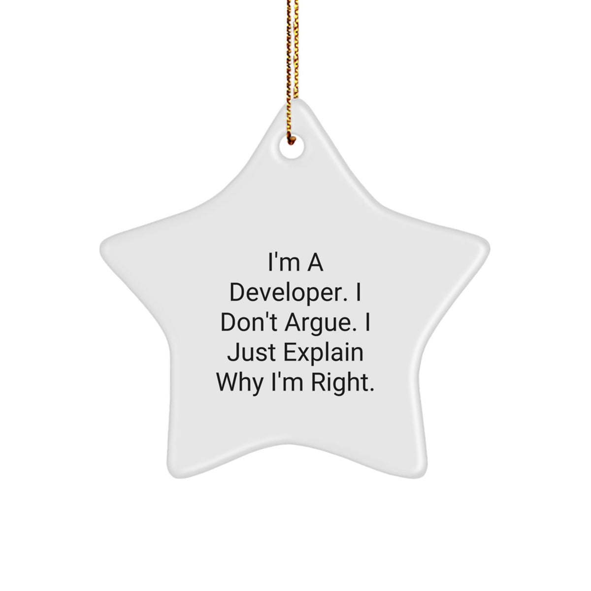 Confident Developer Christmas Ornament Gift for Friends - I Don't Argue - Image 1