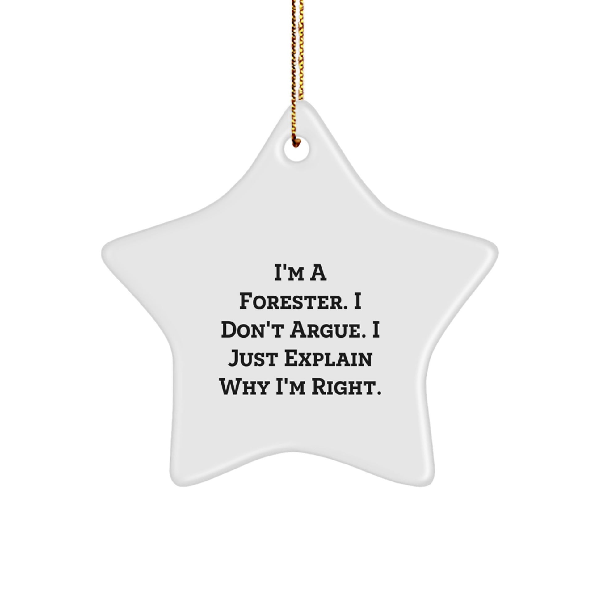 Funny Forester Gifts from Men to Forester Friends - Star Ornament for Forester, Christmas Unique Gifts - Image 1