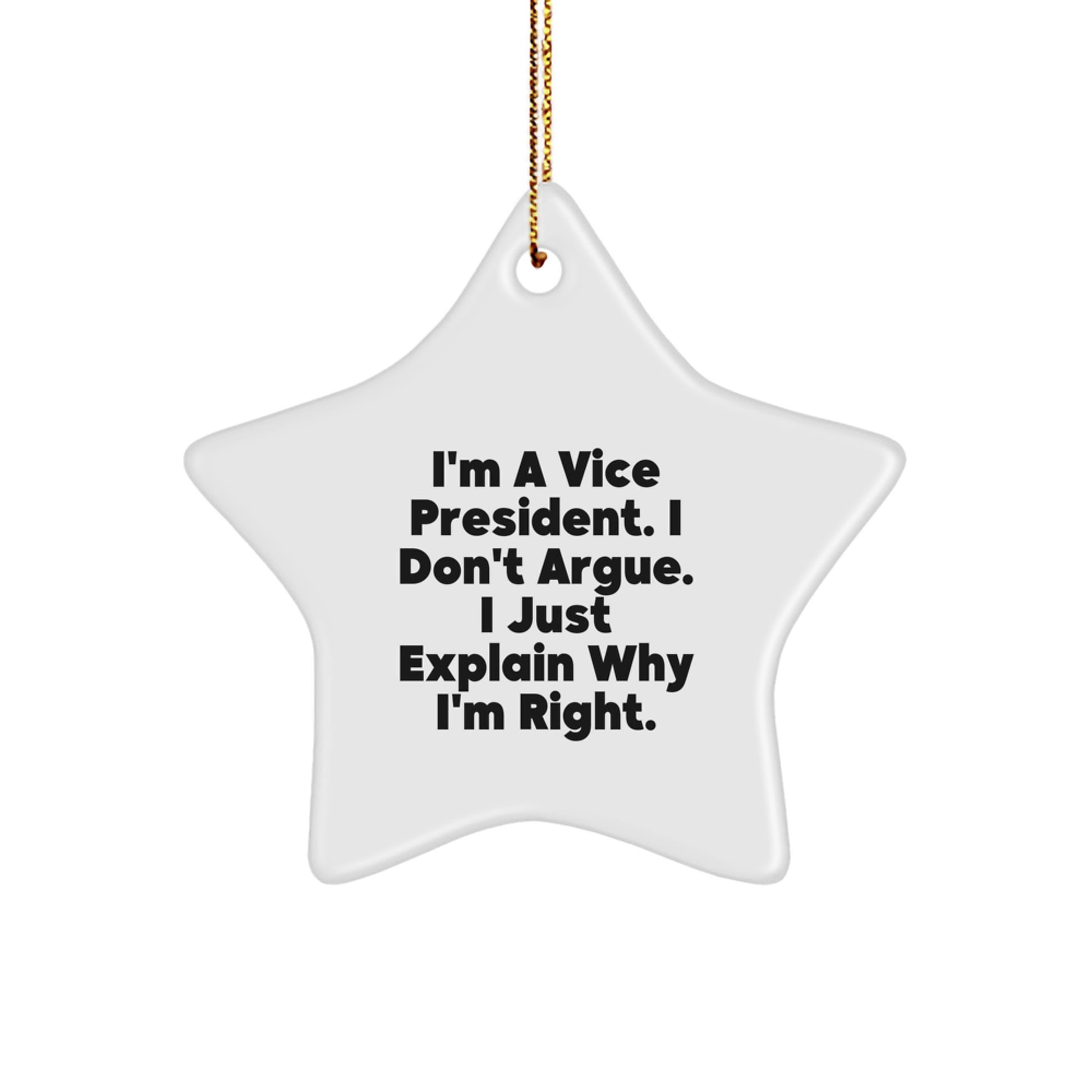 Funny Vice President Gifts from Friends - Star Ornament with Quote - 'I'm A Vice President. I Don't Argue. I Just Explain Why I'm Right.' for Vice President Men at Christmas - Image 1