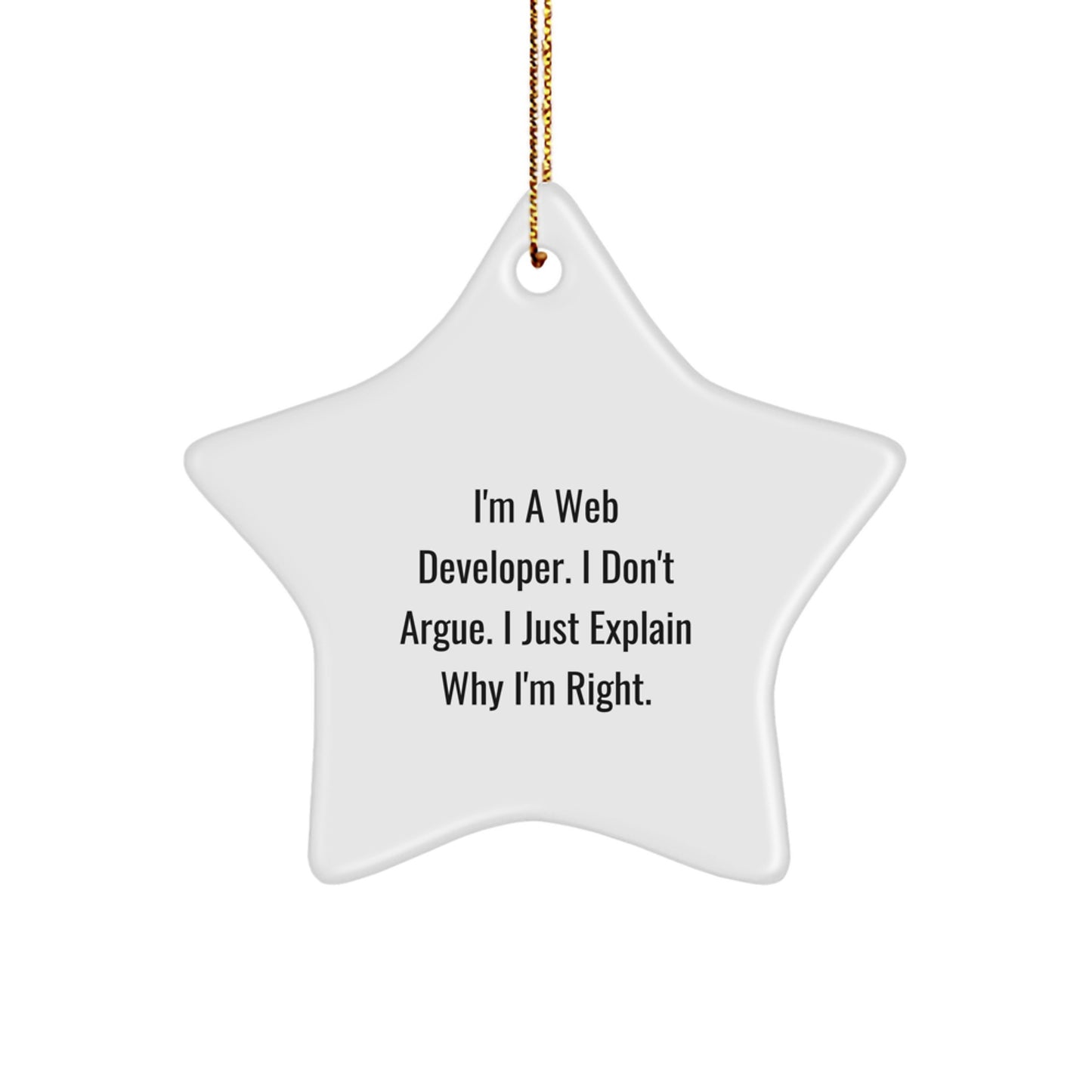 Funny Web Developer Star Ornament Gifts from Friends for Christmas Unique Decorations - Image 1