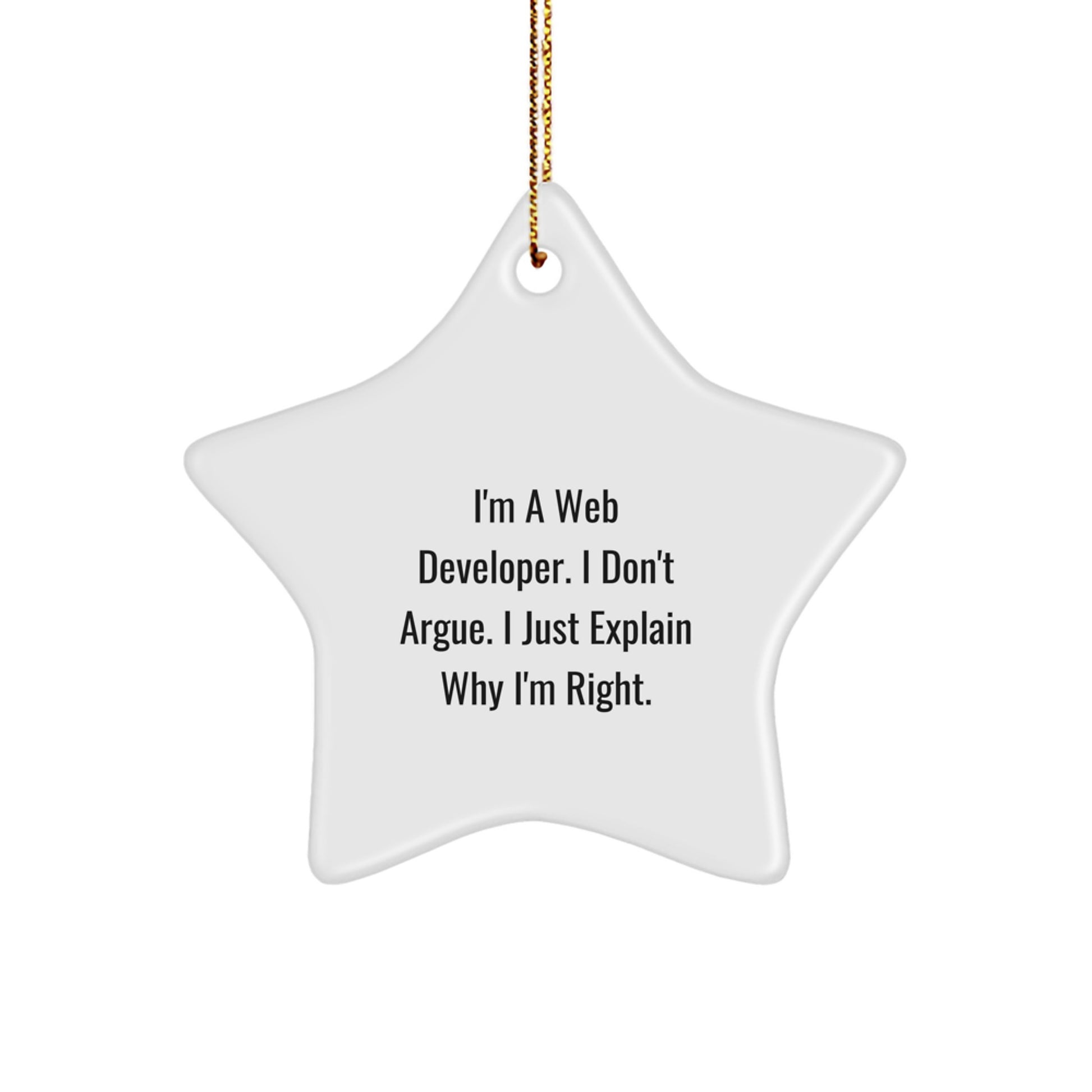 Funny Web Developer Star Ornament Gifts from Friends for Christmas Unique Decorations - Image 1