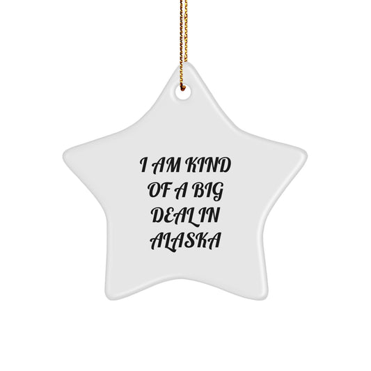 Funny Alaska Star Ornament Gifts from Friends to Alaska Enthusiasts, I Am Kind Of A Prime Selection - Image 1