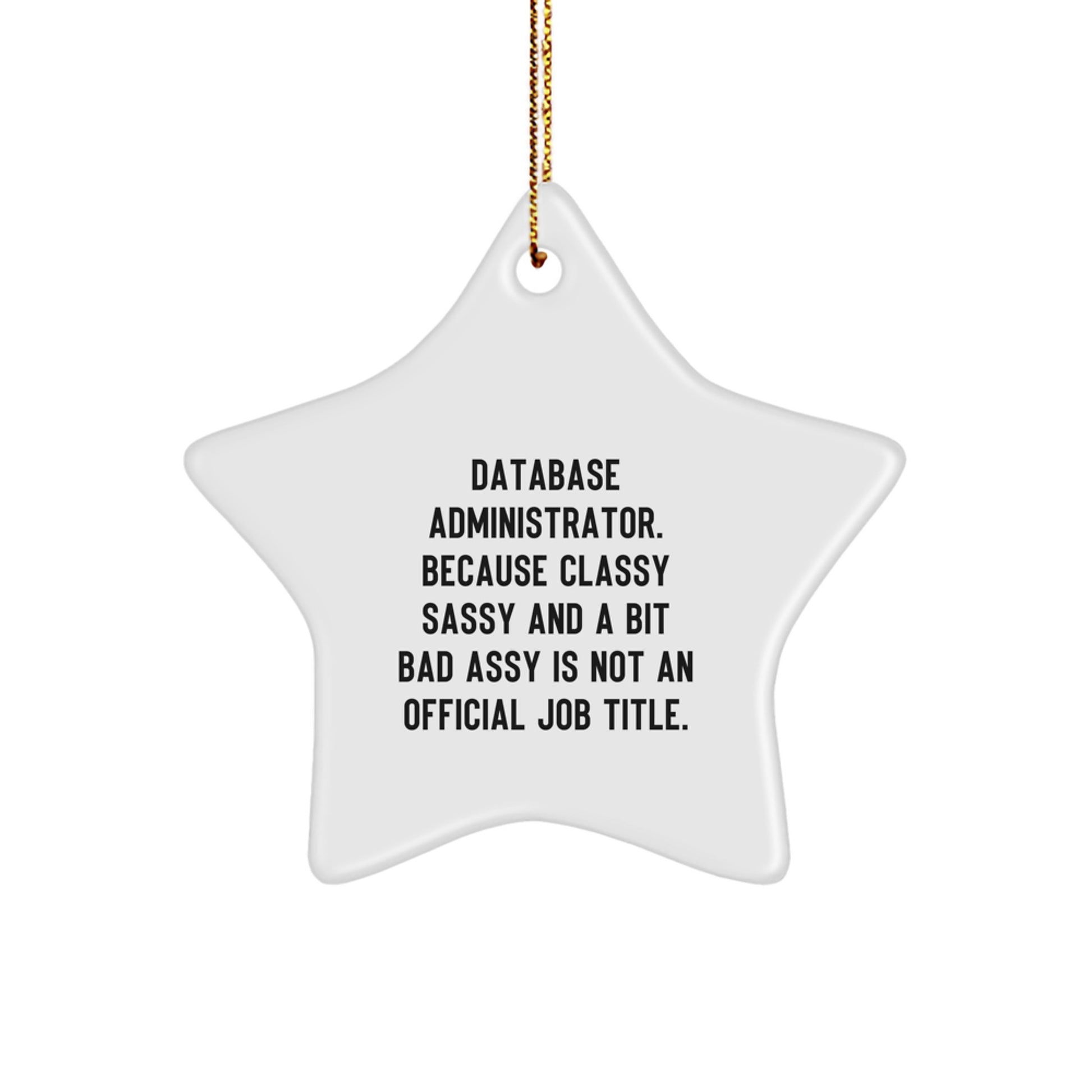 Funny Database Administrator Star Ornament Gifts for Men from Family - Christmas Unique Decorations - Image 1