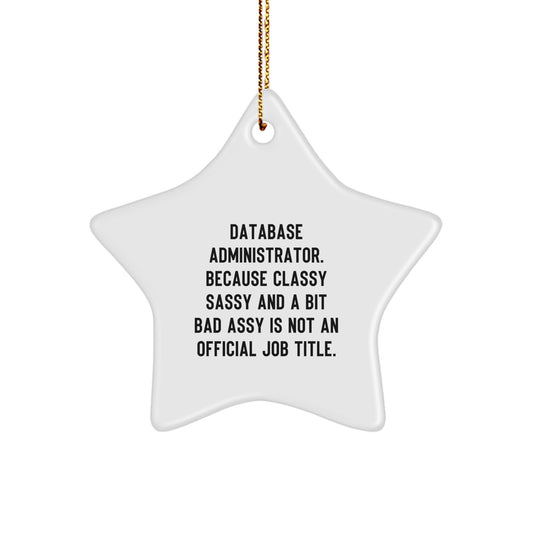Funny Database Administrator Star Ornament Gifts for Men from Family - Christmas Unique Decorations - Image 1