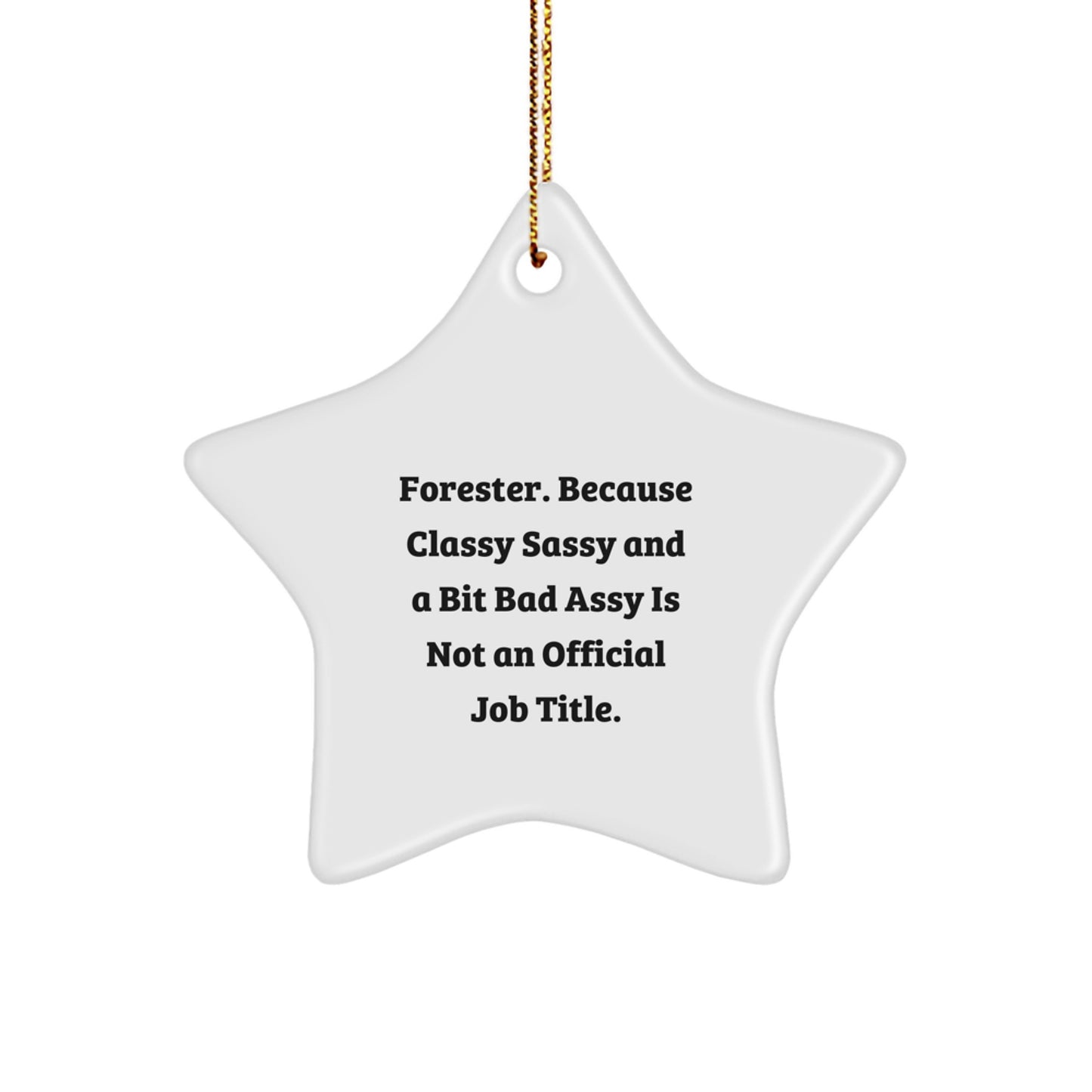 Forester Gifts, Funny Star Ornament for Friends, Gifts from Family to Forester, Christmas Decorations - Image 1
