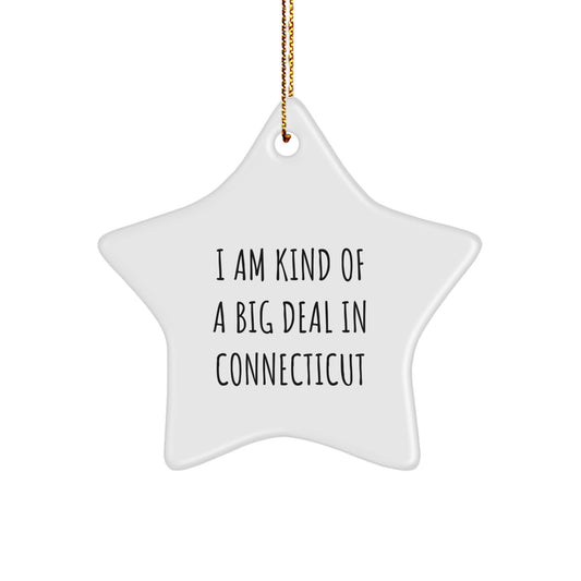 Connecticut Funny Star Ornament Gifts from Men to Family in Connecticut for Christmas - Image 1