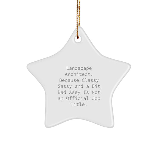 Funny Landscape Architect Gifts, Star Ornament, 'Landscape Architect. Because Classy Sassy And A Bit Fearlessy Is Not An Official Job Title.' Christmas Ornament for Friends, Family, or Coworkers - Image 1