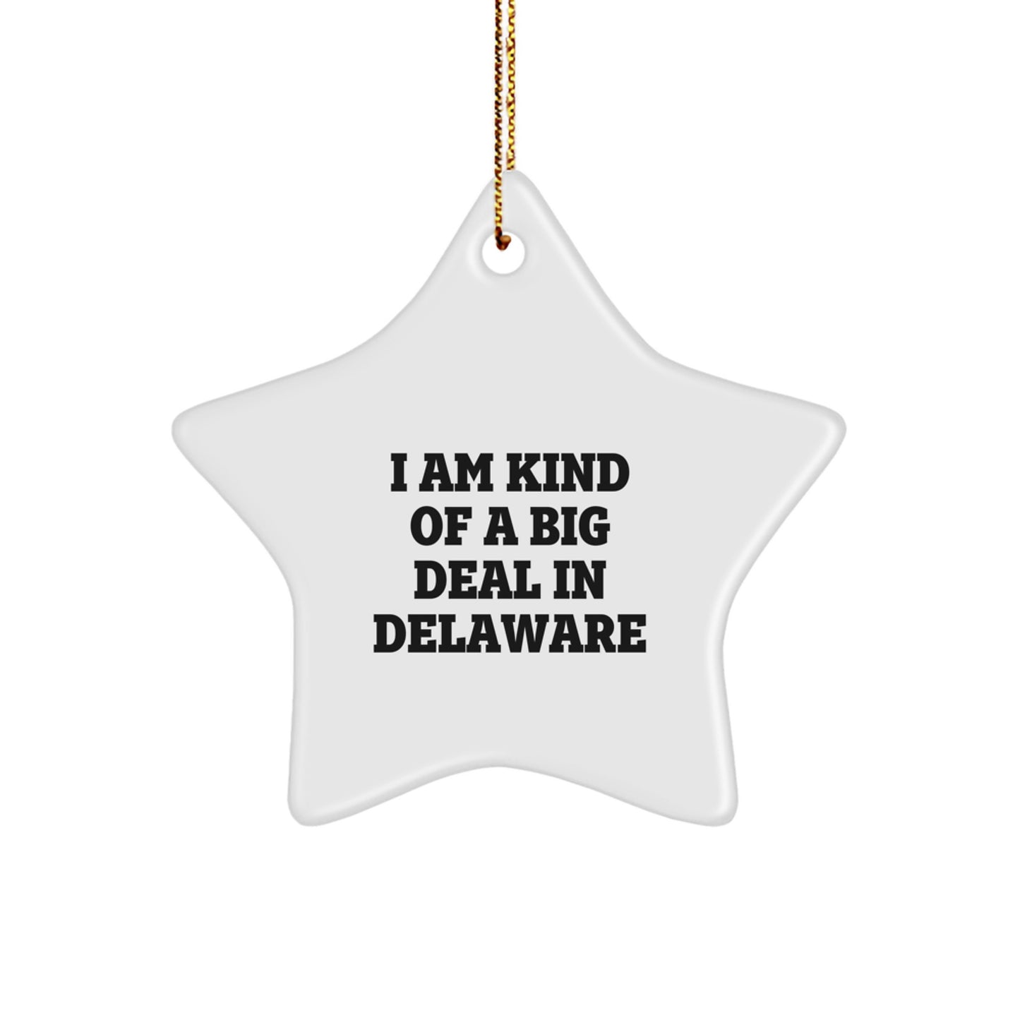 Funny Star Ornament Gifts from Delaware, Inspirational Quote I Am Kind Of A Prime Selection In Delaware, Unique Christmas Decorations for Delaware Home - Image 1